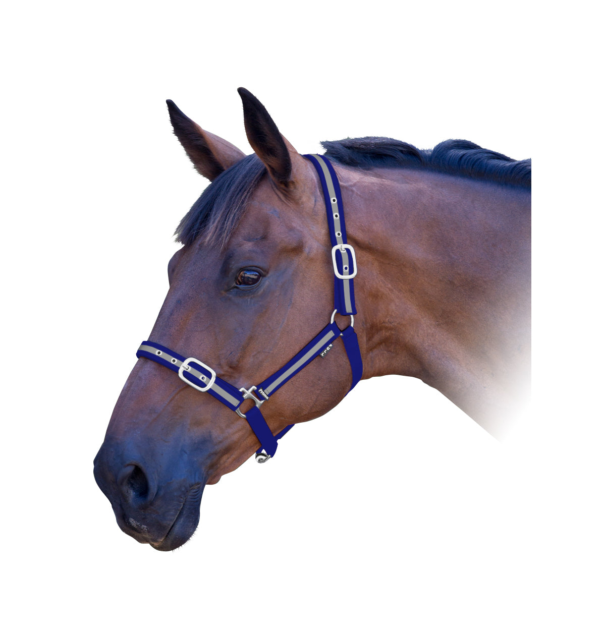 Prima ReflectiveRibbon Halter Black / Cob