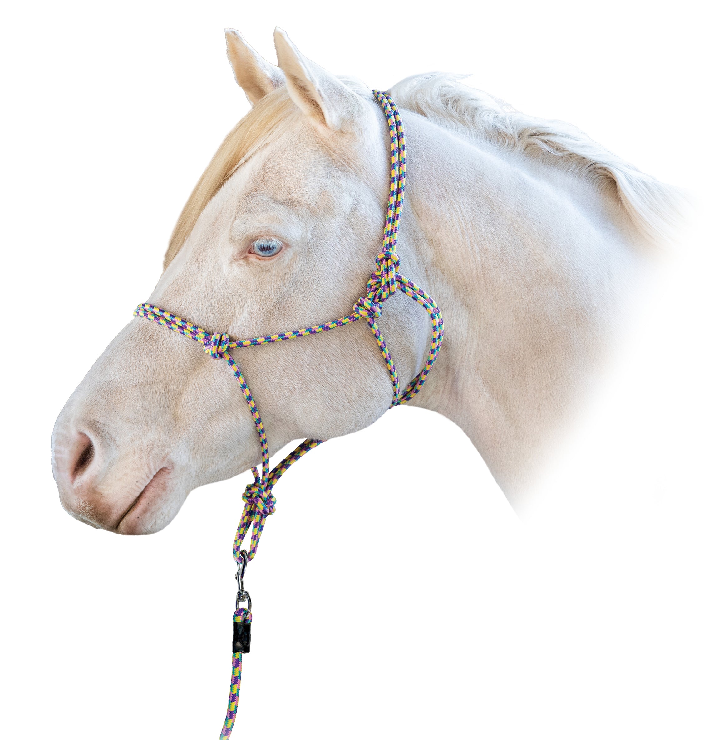 Enzo Multi Color Rope Halter w/Lead One / Cob
