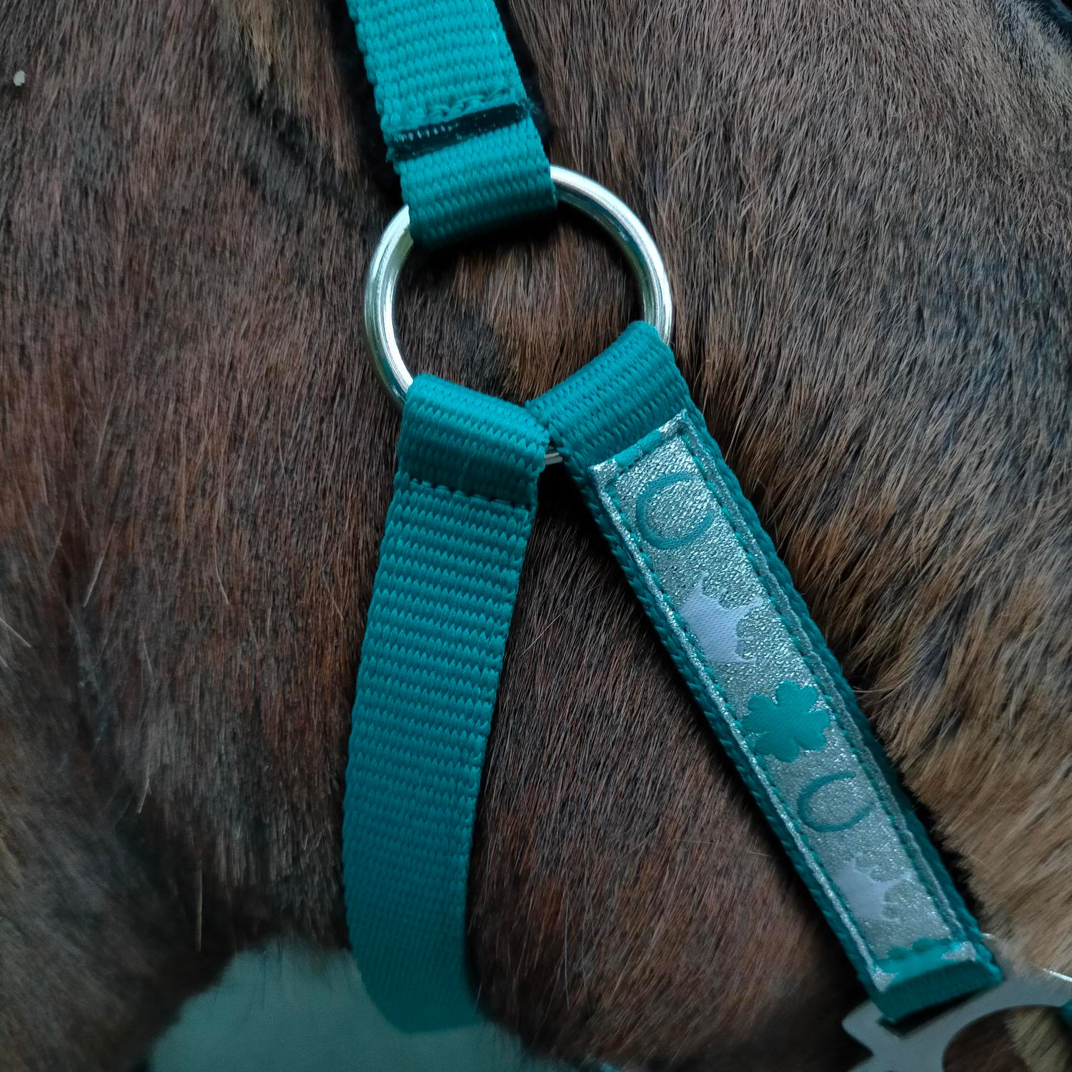 Prima MyPony Halter Set Blue / Pony