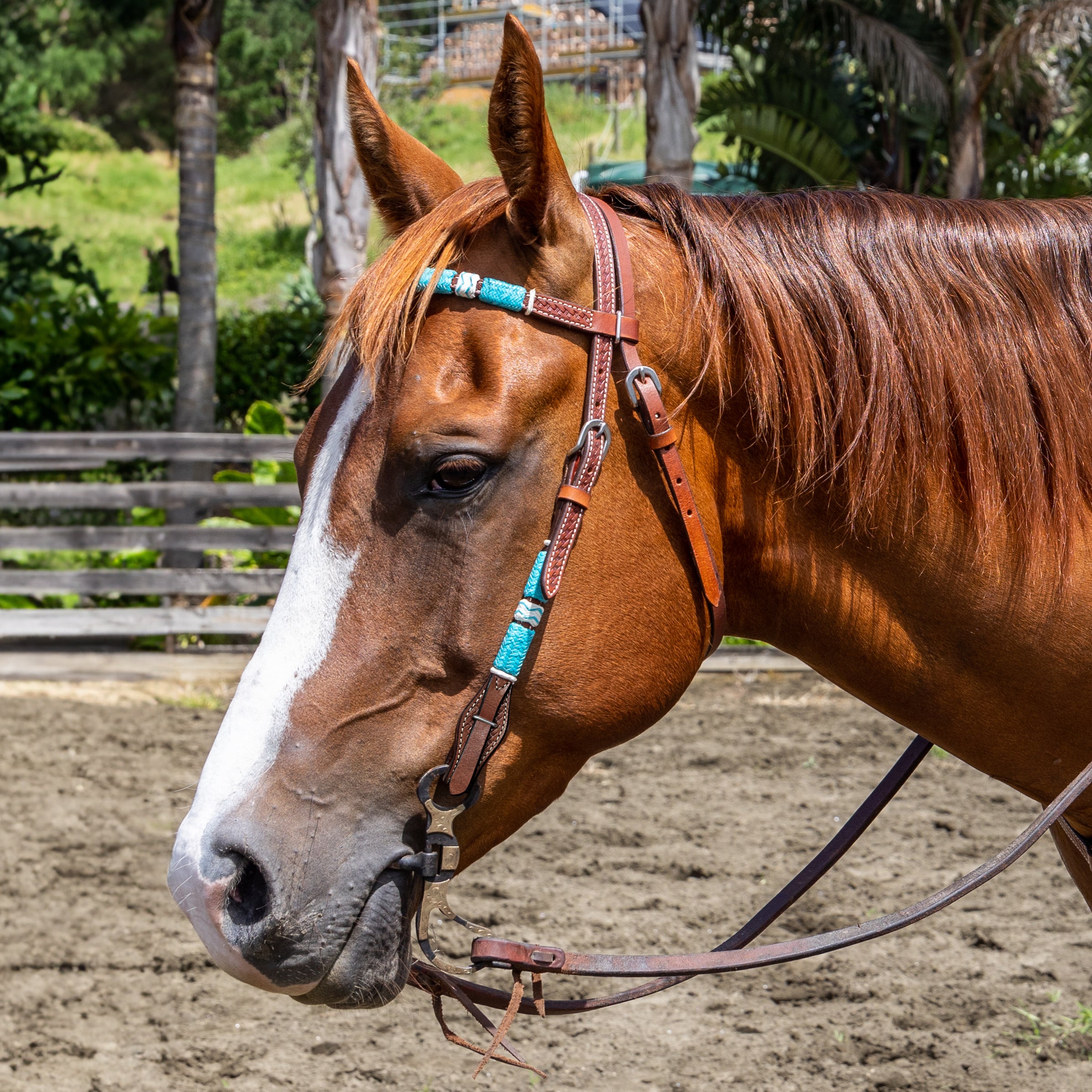 Origin Cheyenne Headstall