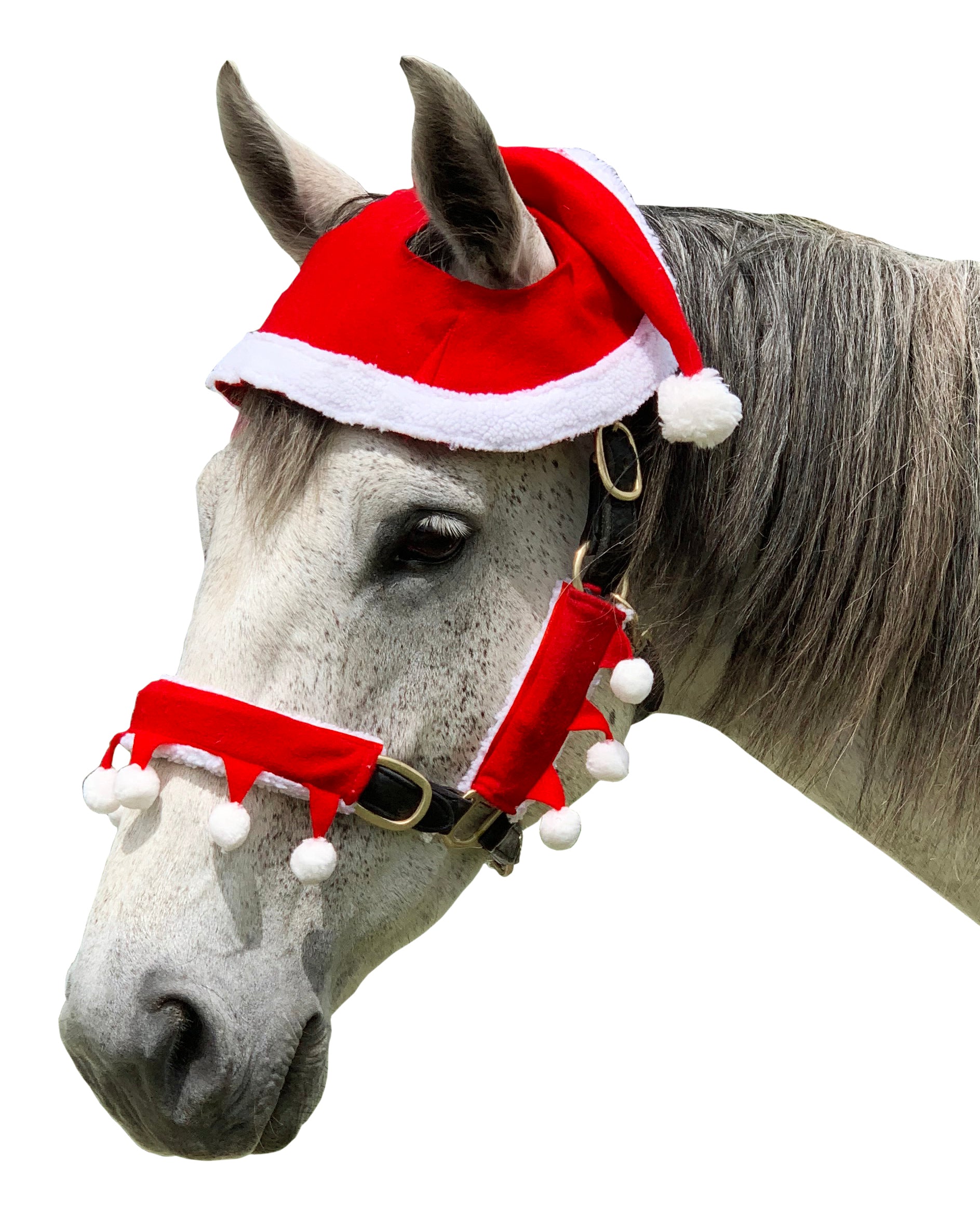 Santa Horse Set