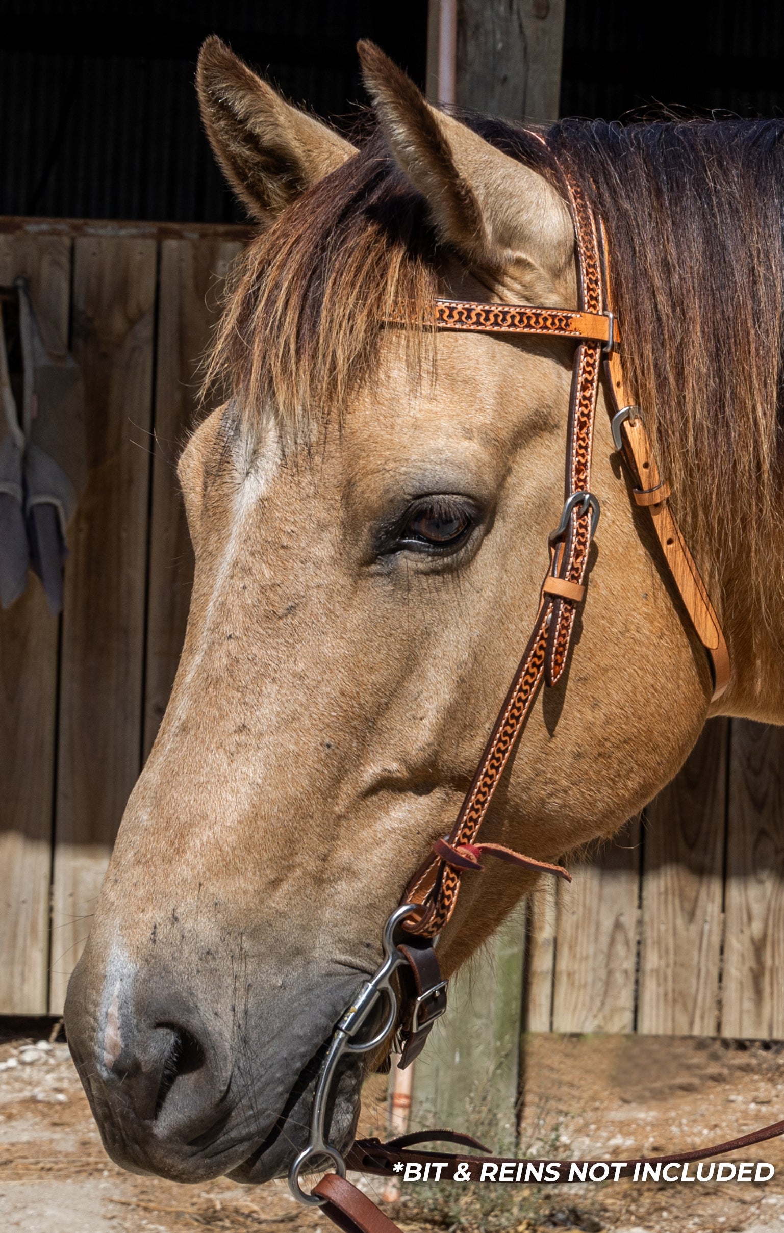 Origin Mojave Browband Headstall