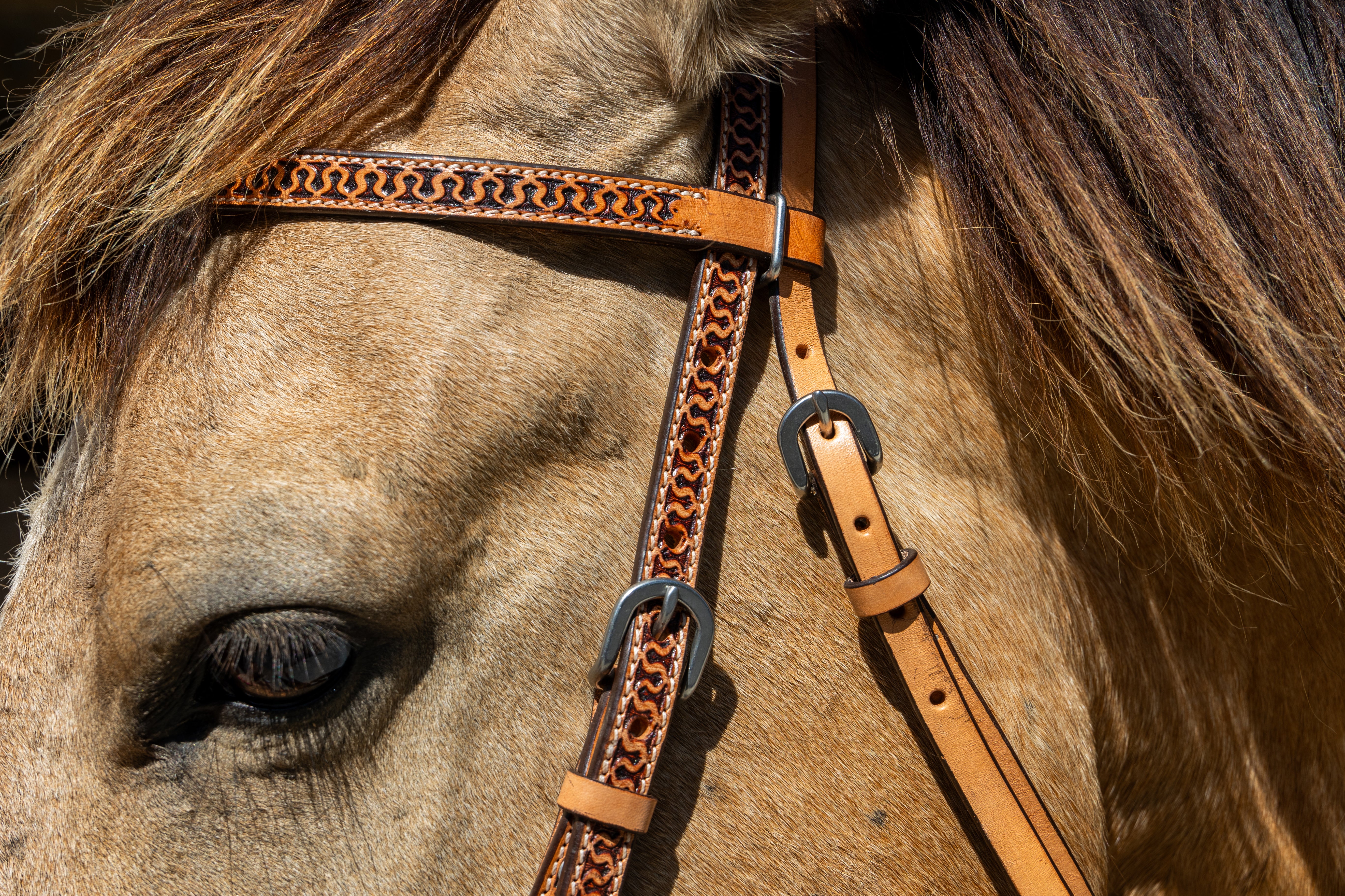 Origin Mojave Browband Headstall
