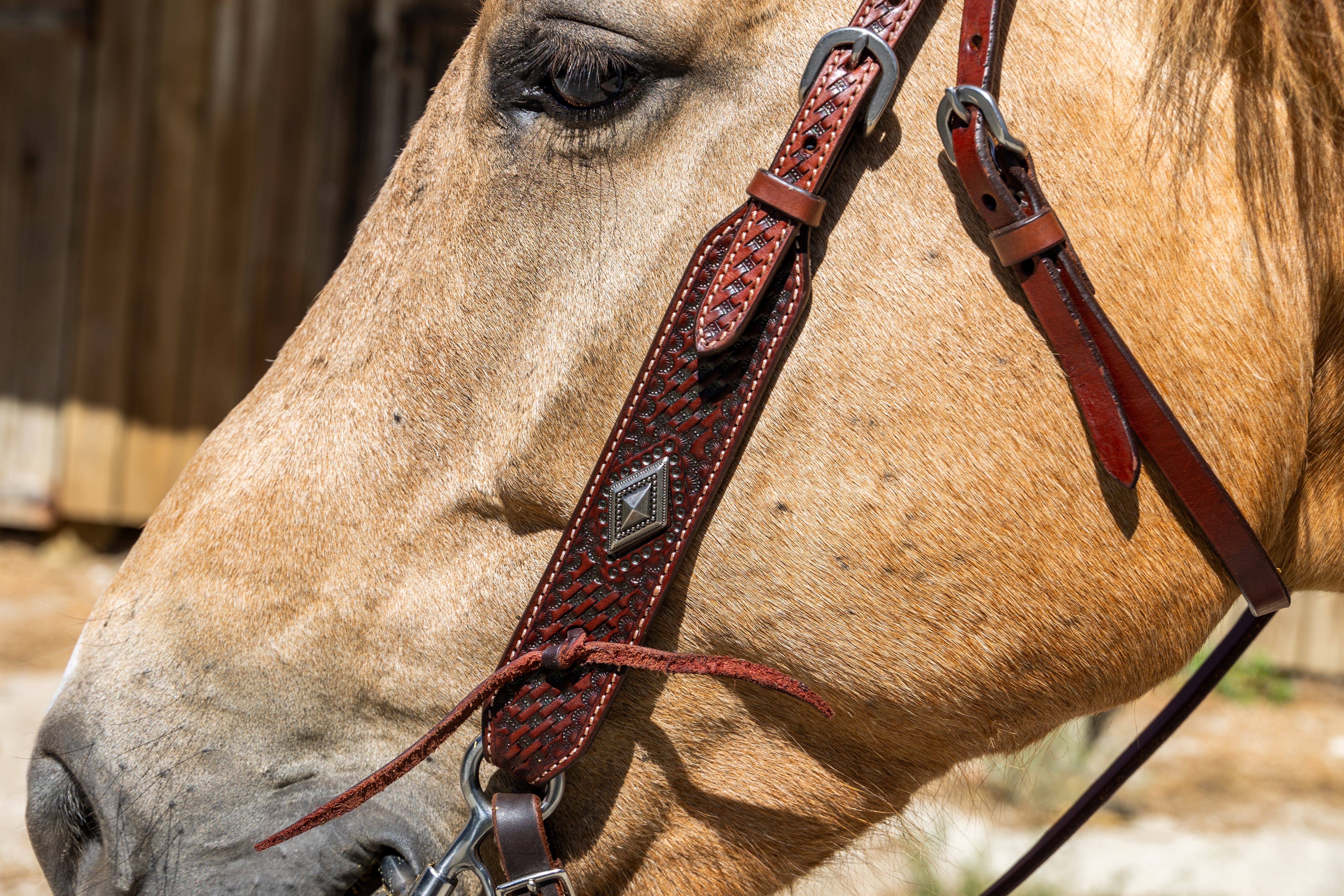 Origin Sierra Browband Headstall