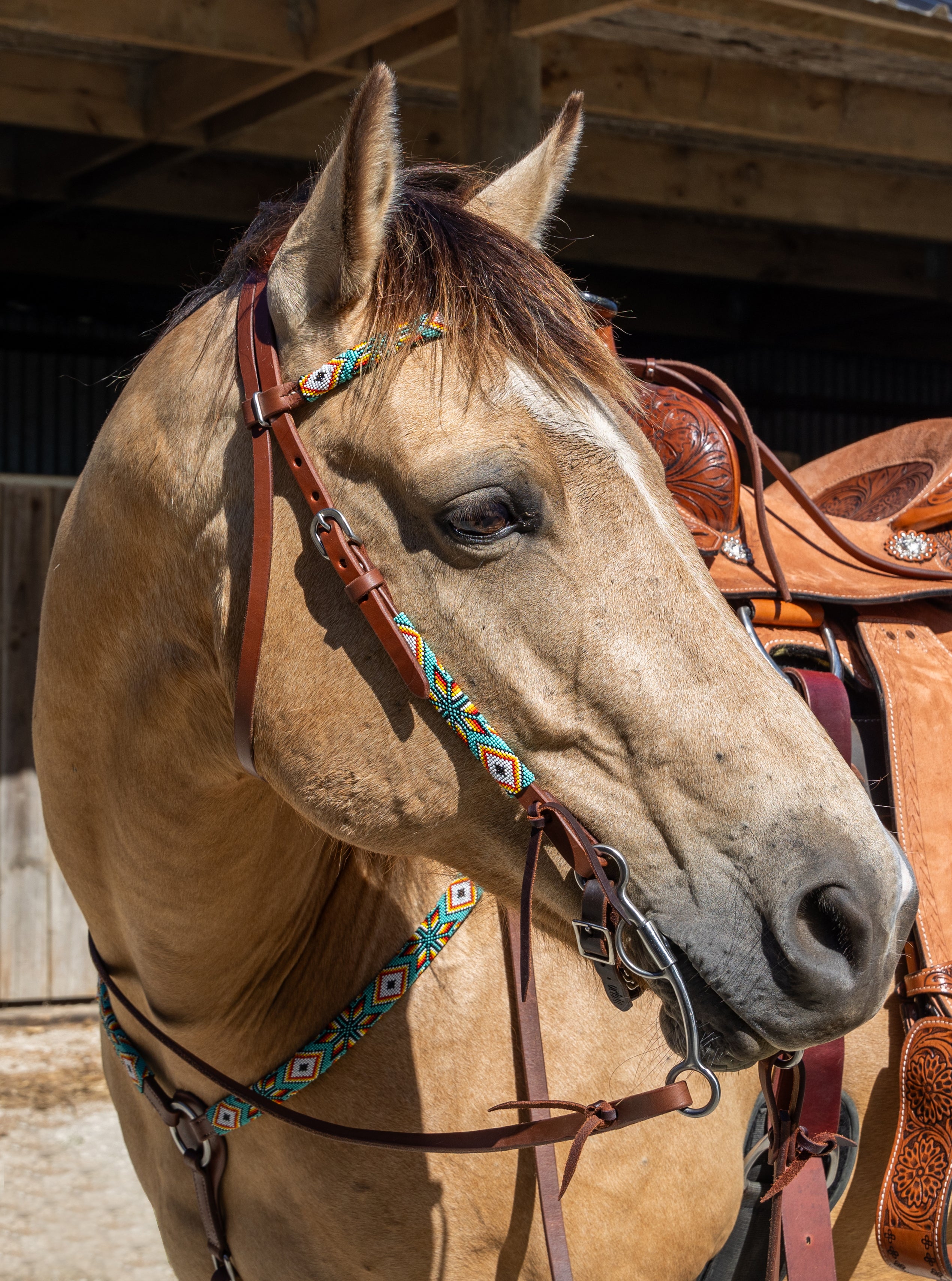 Origin Sonoran Browband Headstall