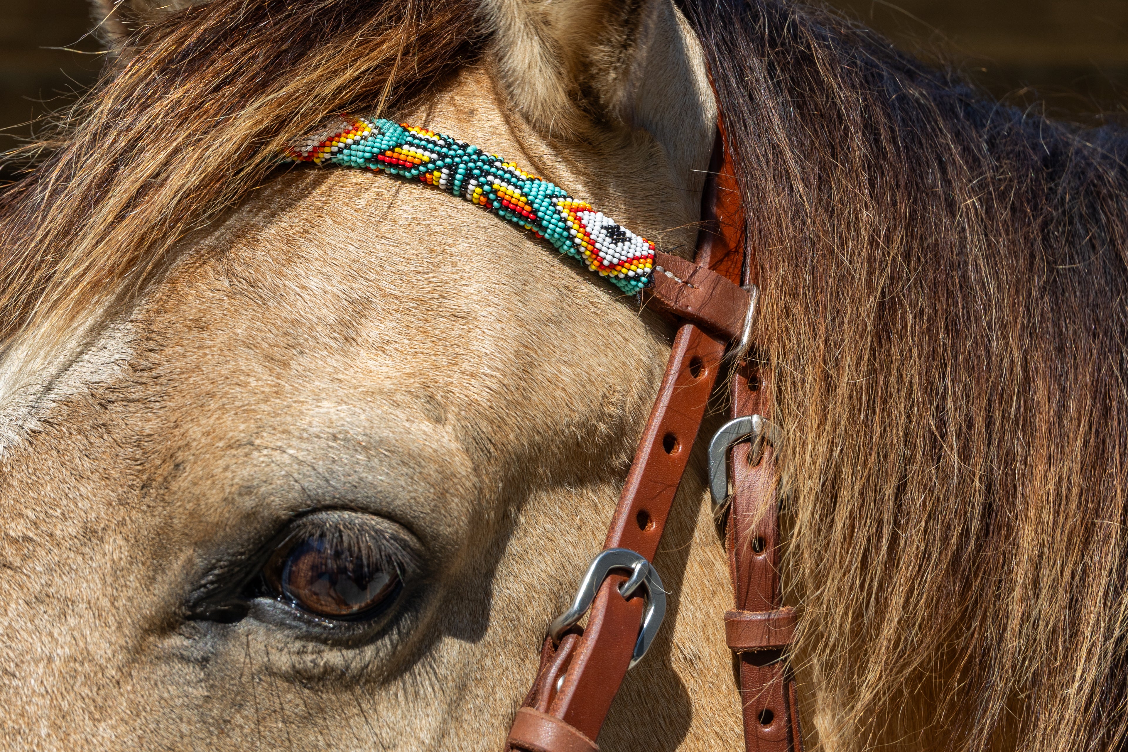 Origin Sonoran Browband Headstall