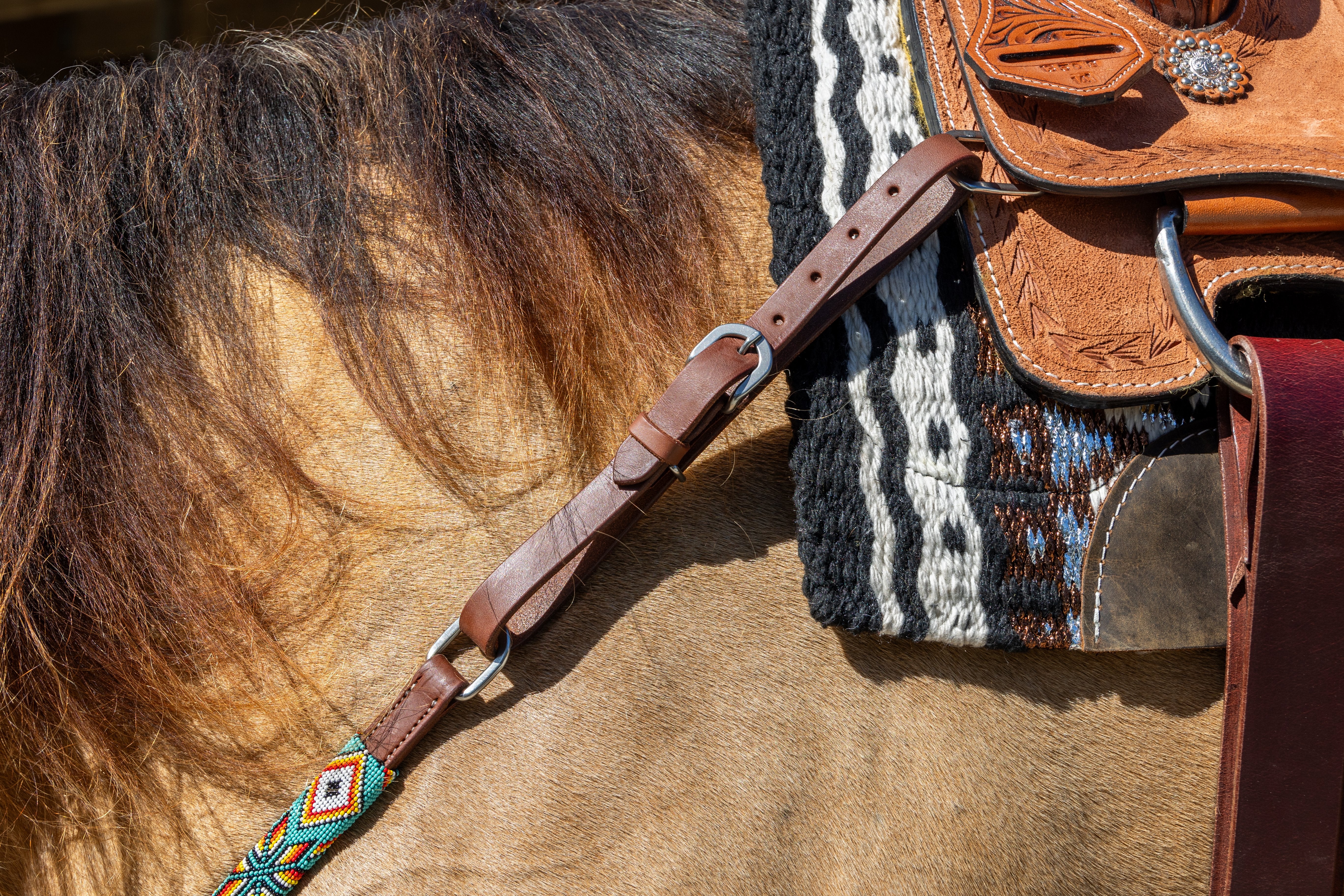 Origin Sonoran Browband Headstall