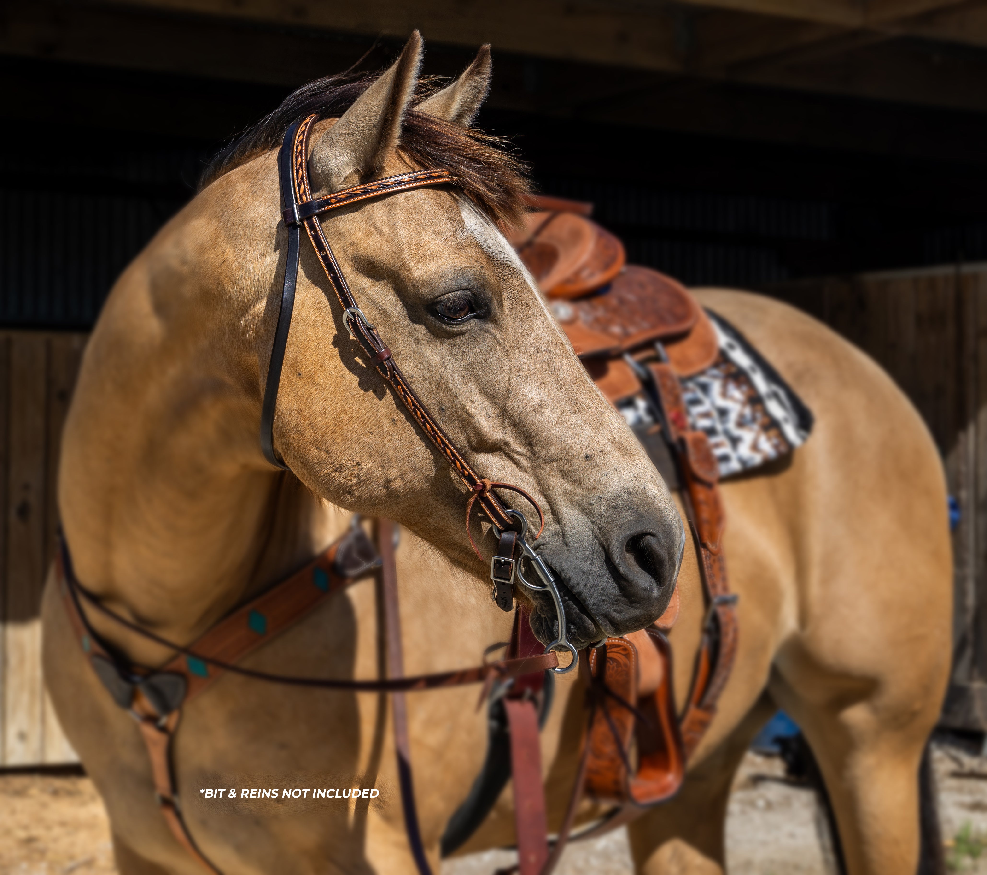 Origin Utah Browband Headstall