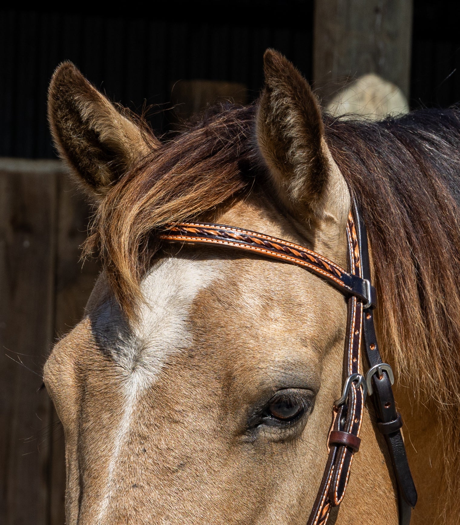 Origin Utah Browband Headstall