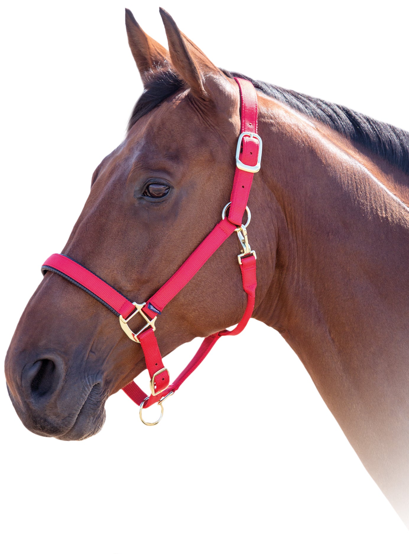 Shires Topaz Nylon Halter Black / Cob