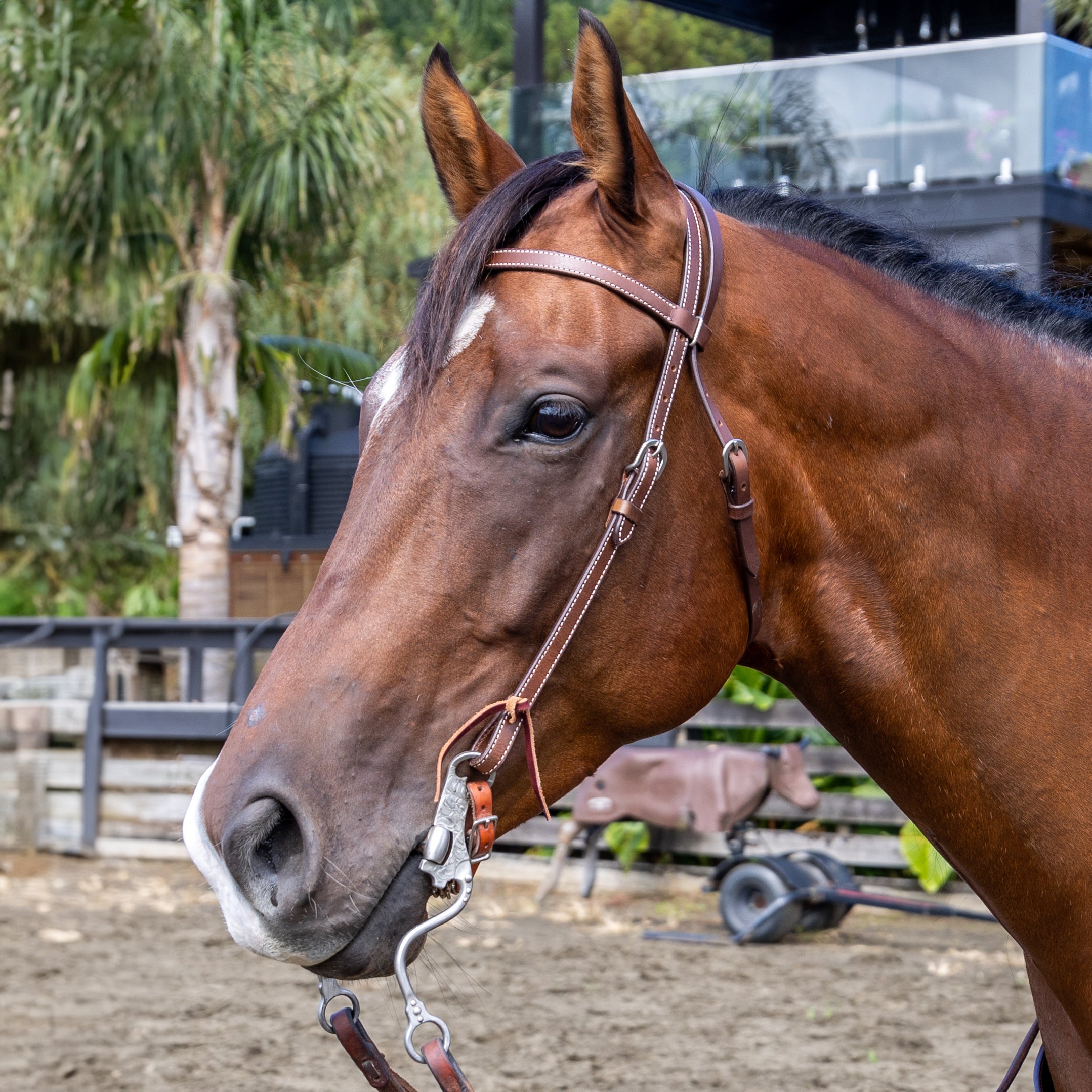Origin Sherman Headstall