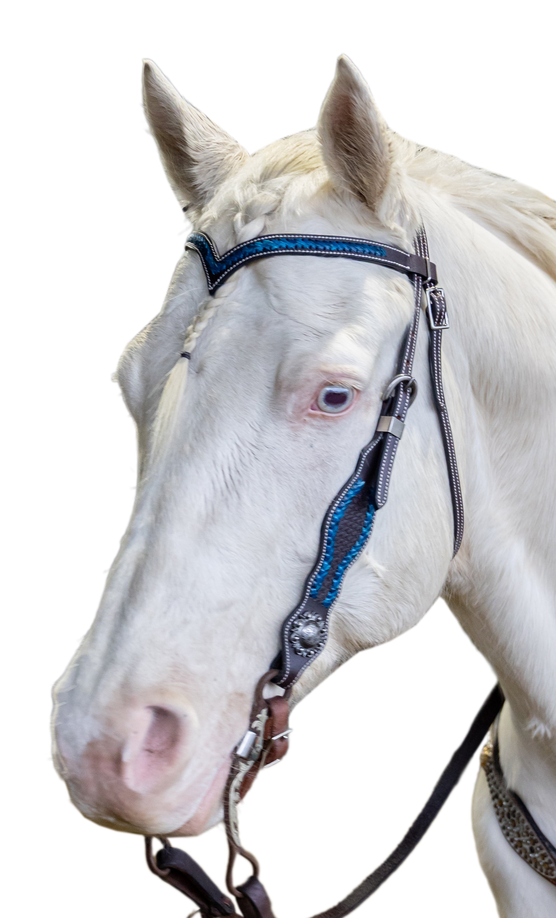 Origin Braided V Headstall