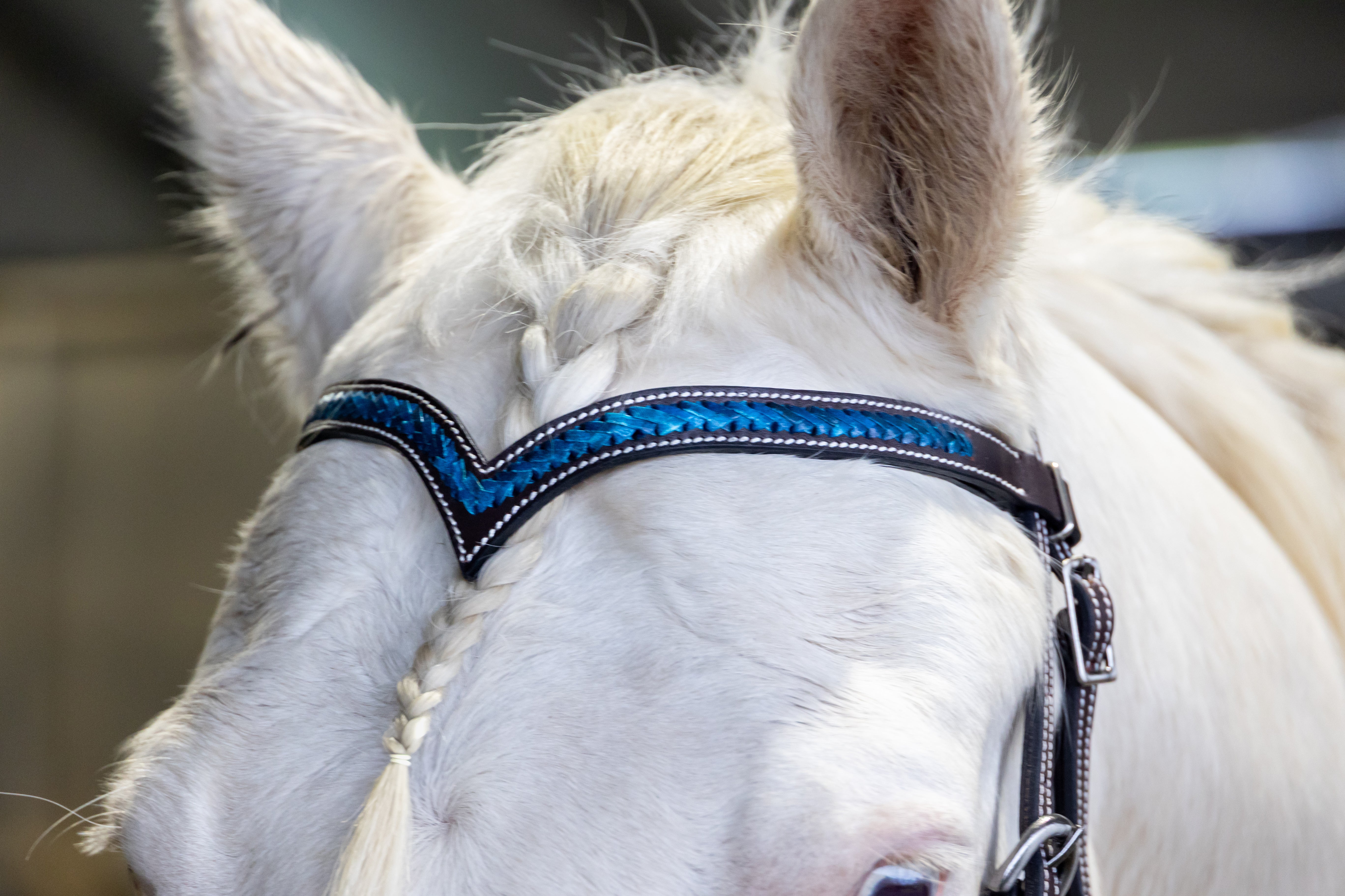 Origin Braided V Headstall