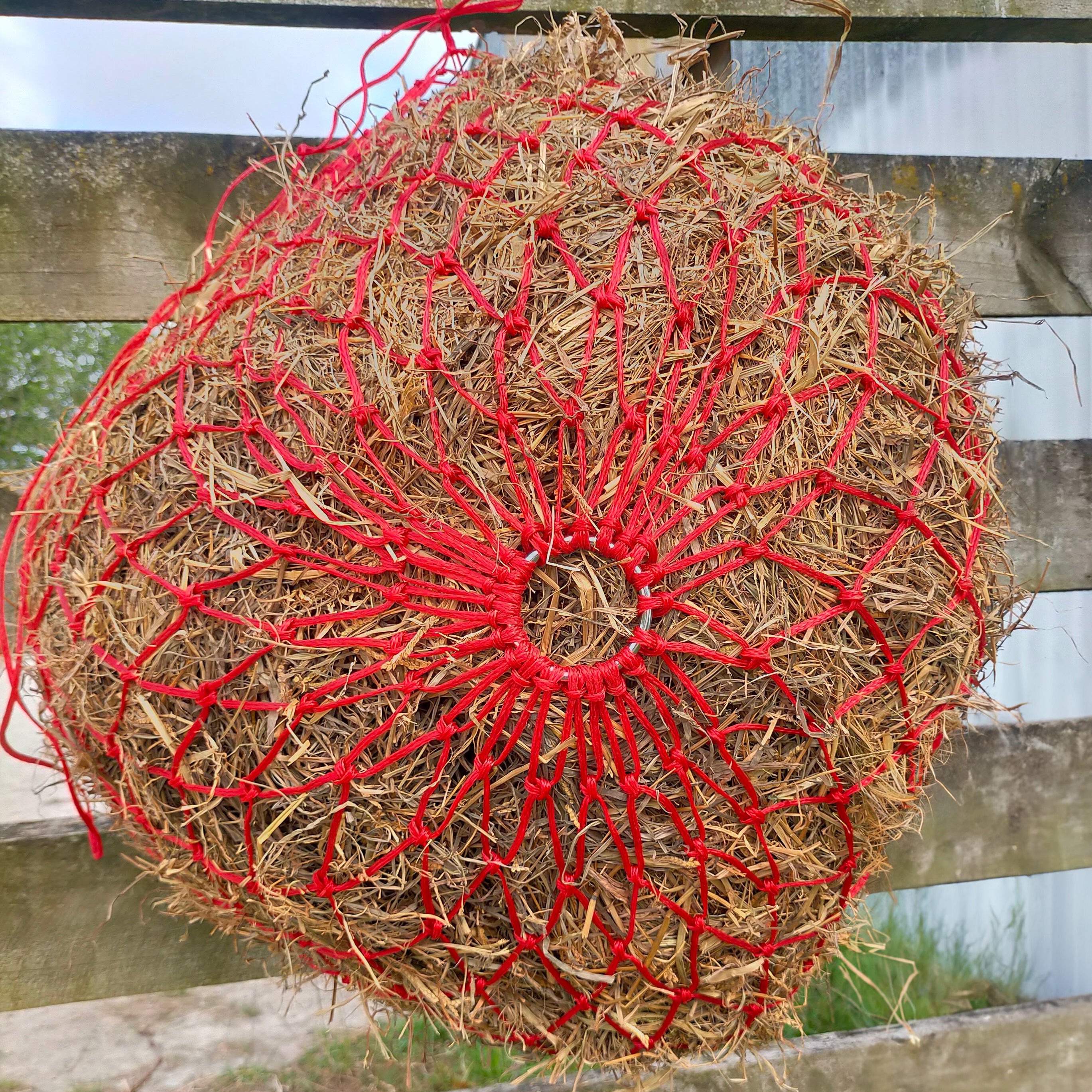 Prima Haynet(Assorted)