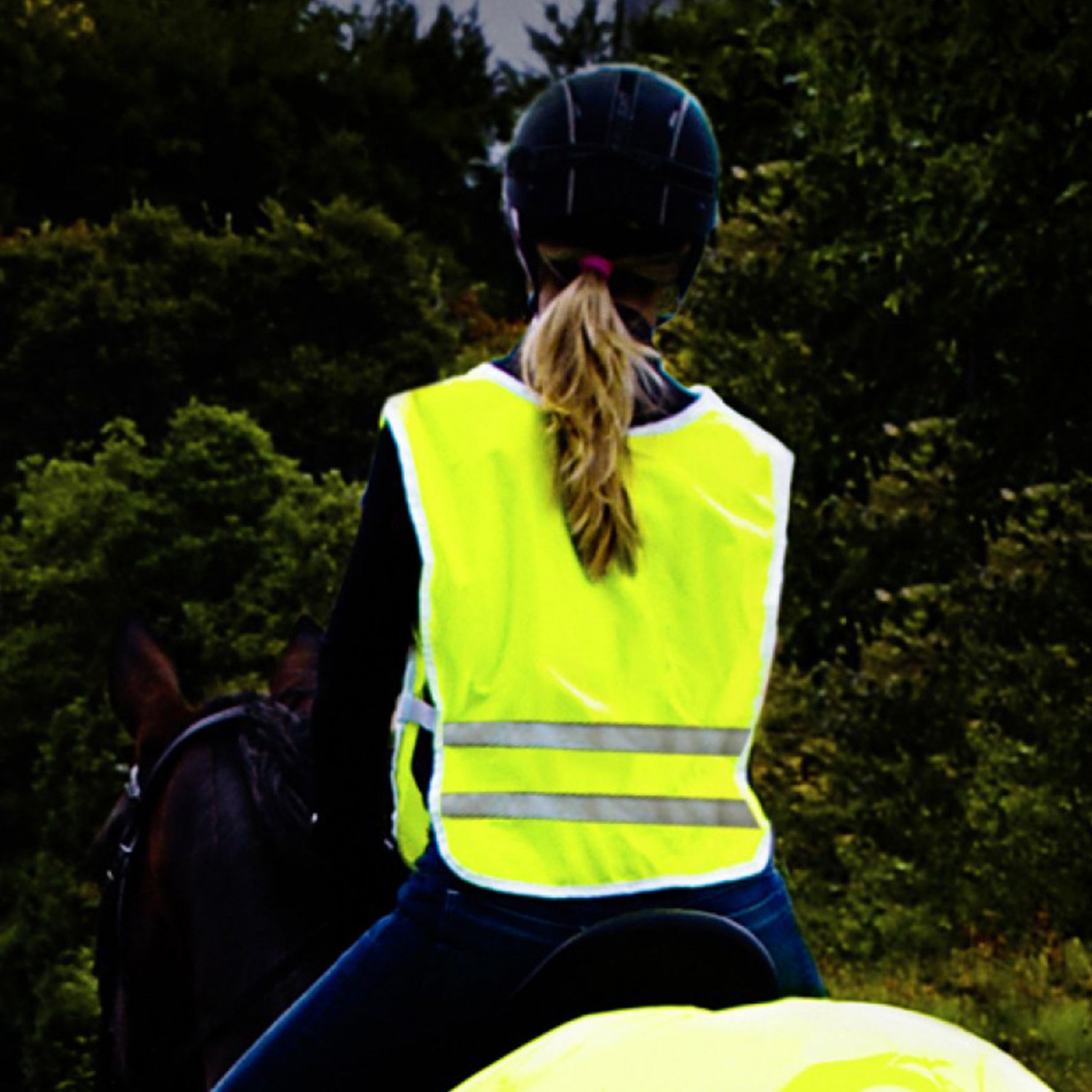 Hi Viz Vest