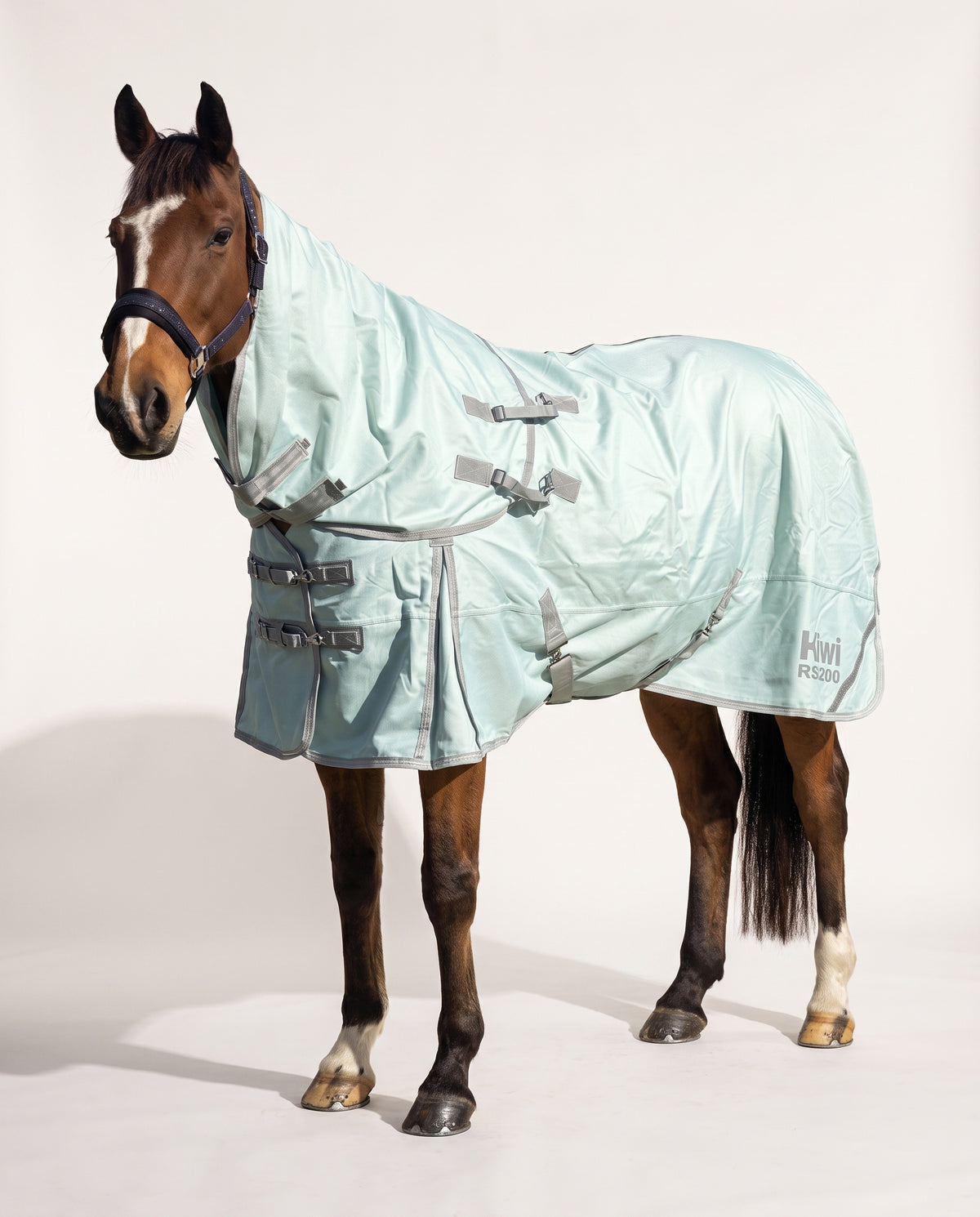Kiwi 1200 Summer Rug Set