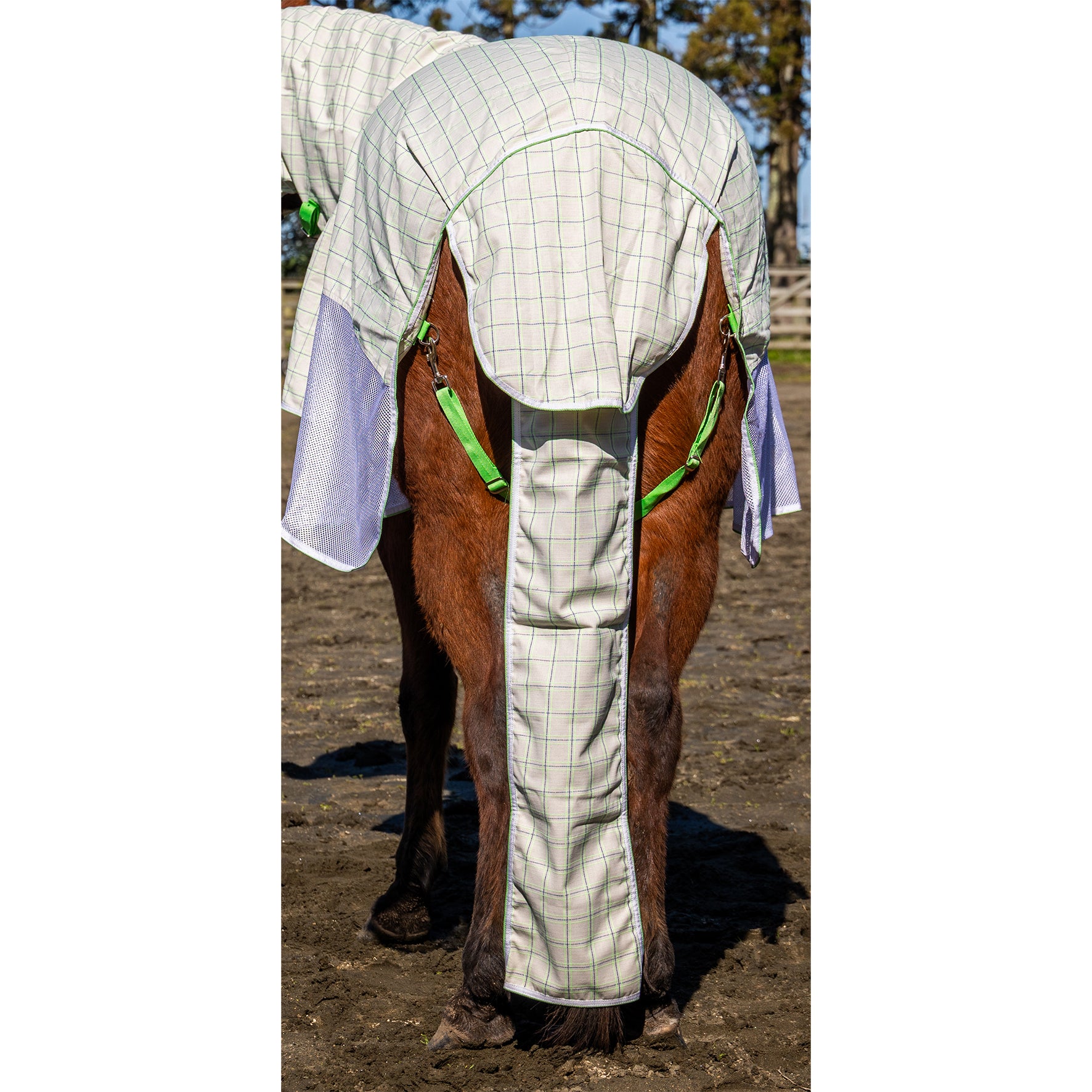 KiwiBlack Crossover Tail Bag One / Cob