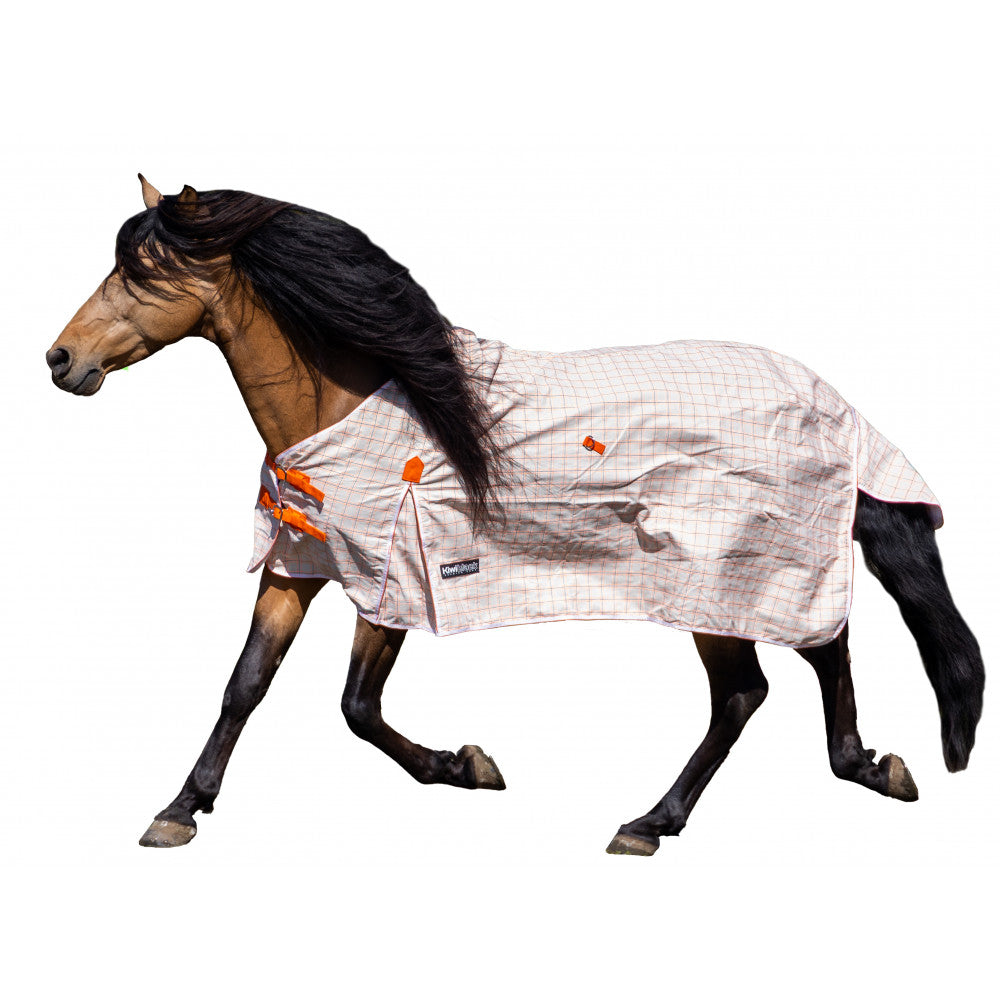 KiwiBlack Kooler Rug Only One / 3