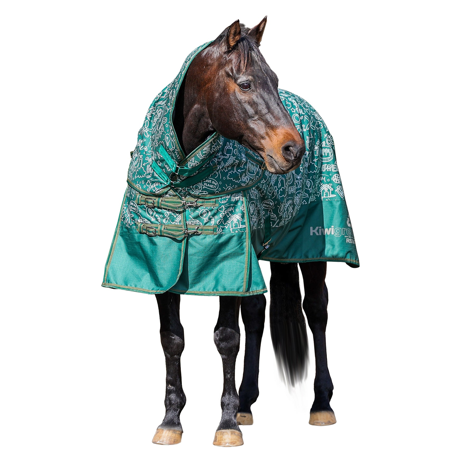 KiwiGreen 1200 Winter Rug Set 50g One / 4.3