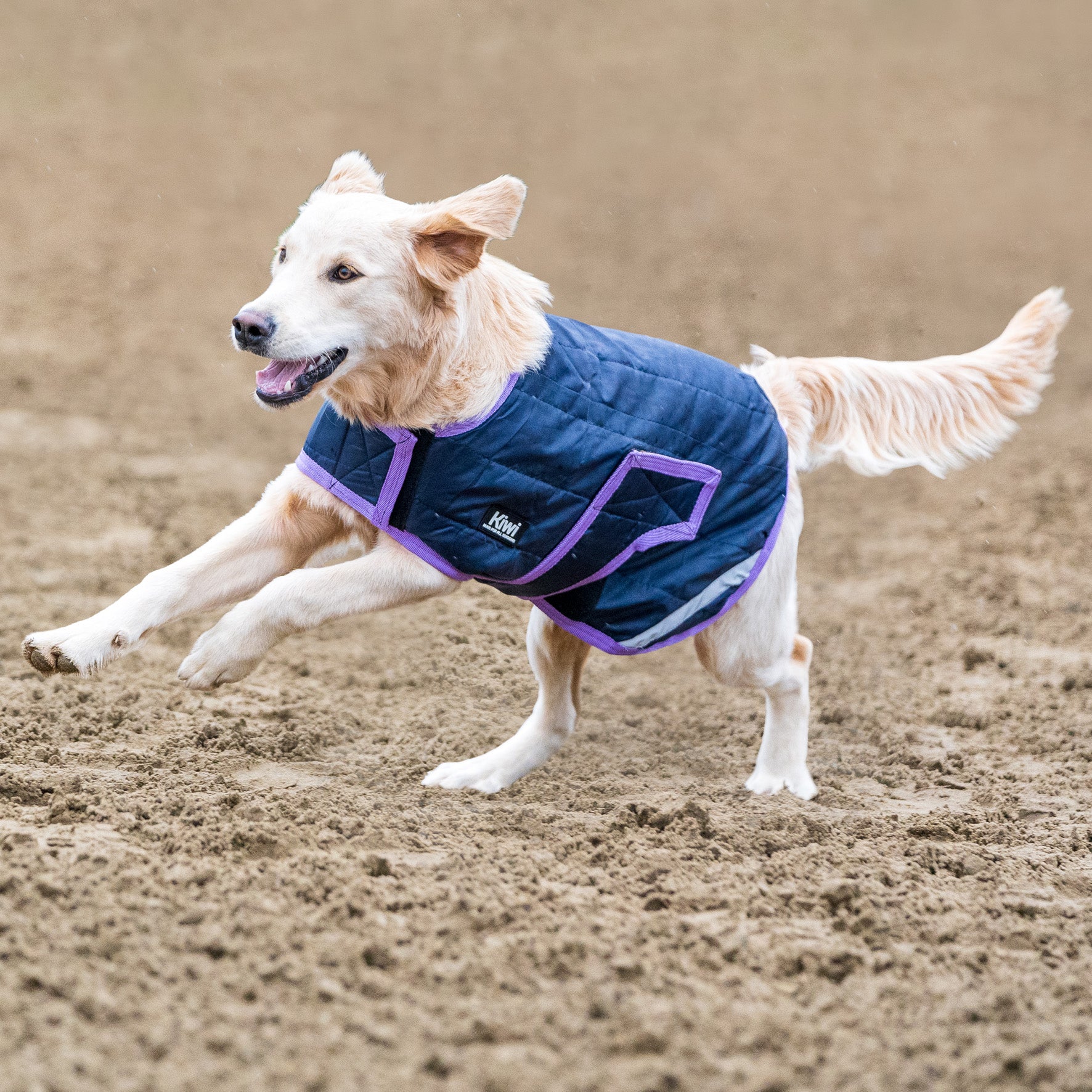 Kiwi Quilted Dog Coat