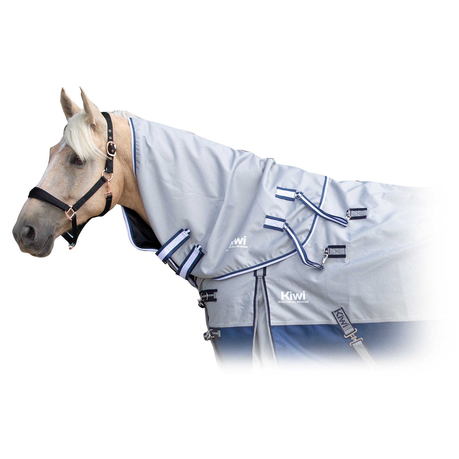 Kiwi 1200 Btween Neck Rug One / Large