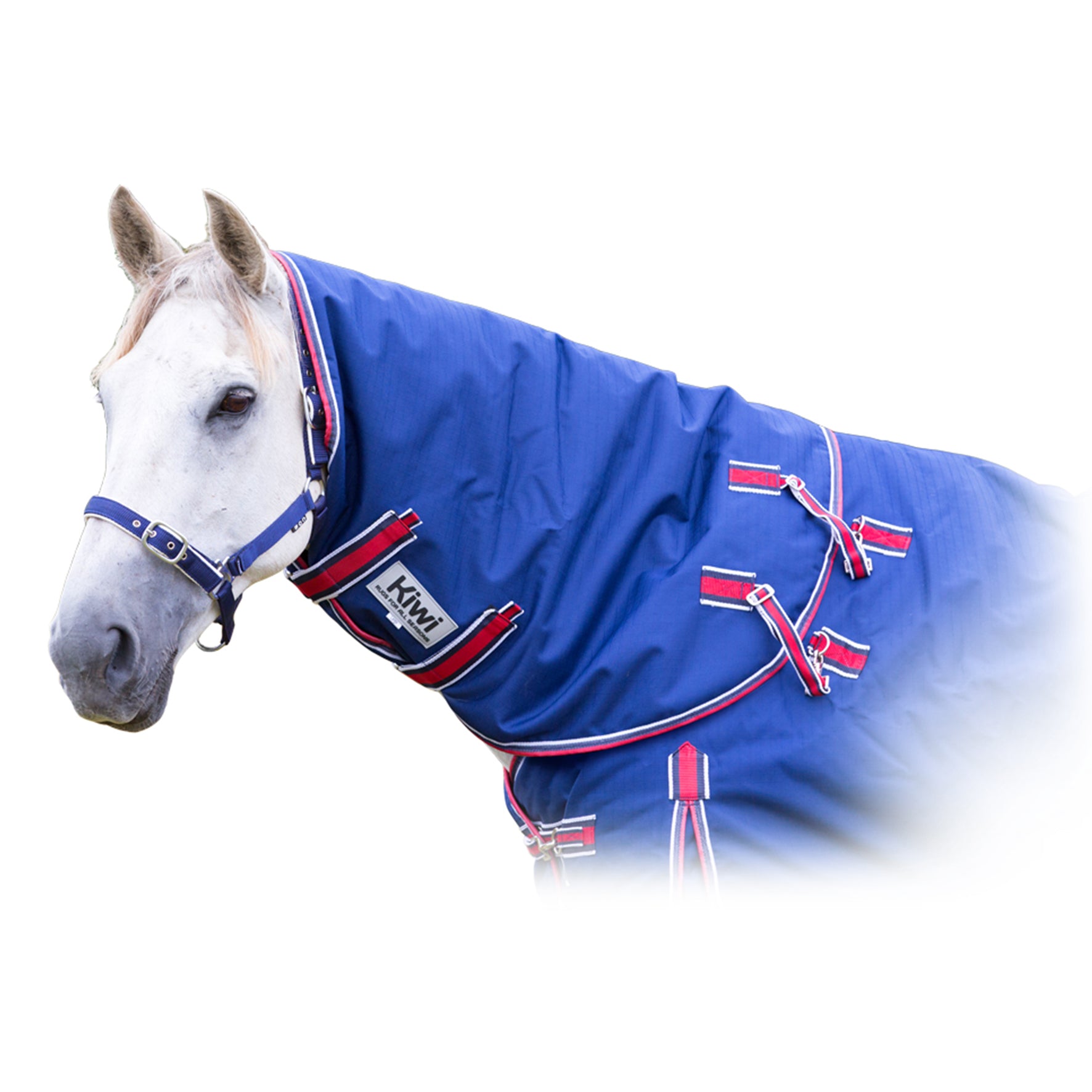 Kiwi 1200 Neck Rug 100g One / X Large