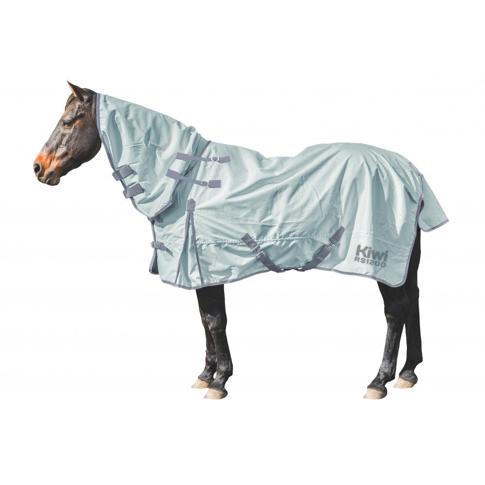 Kiwi 1200 Summer Rug Set One / 4