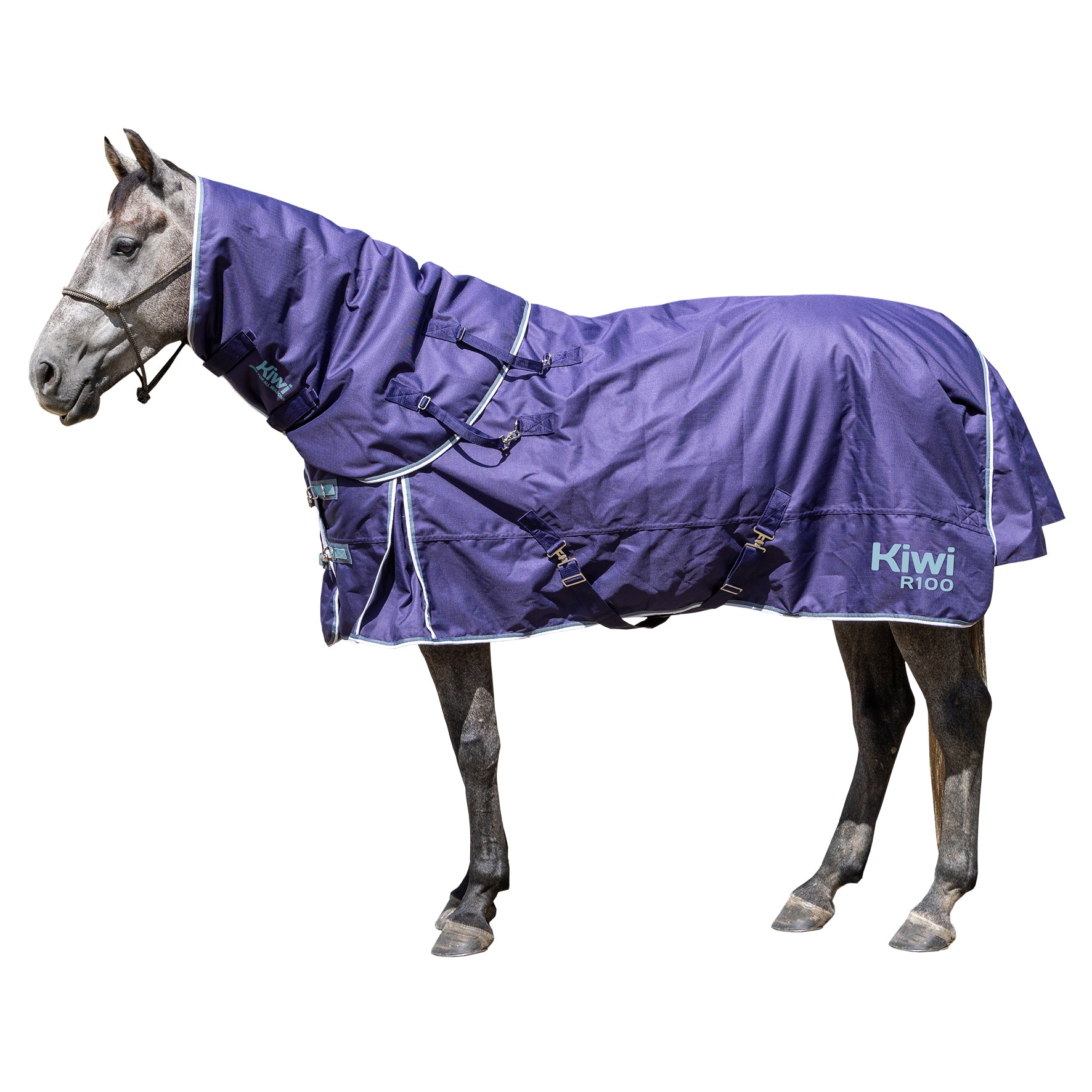 Kiwi 1200 Winter Rug Only 100g One / 3