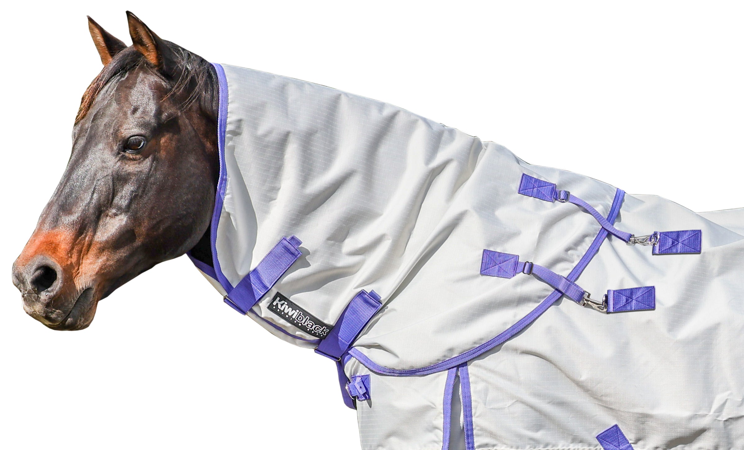 Kiwi 600 Summer Neck Rug One / Large