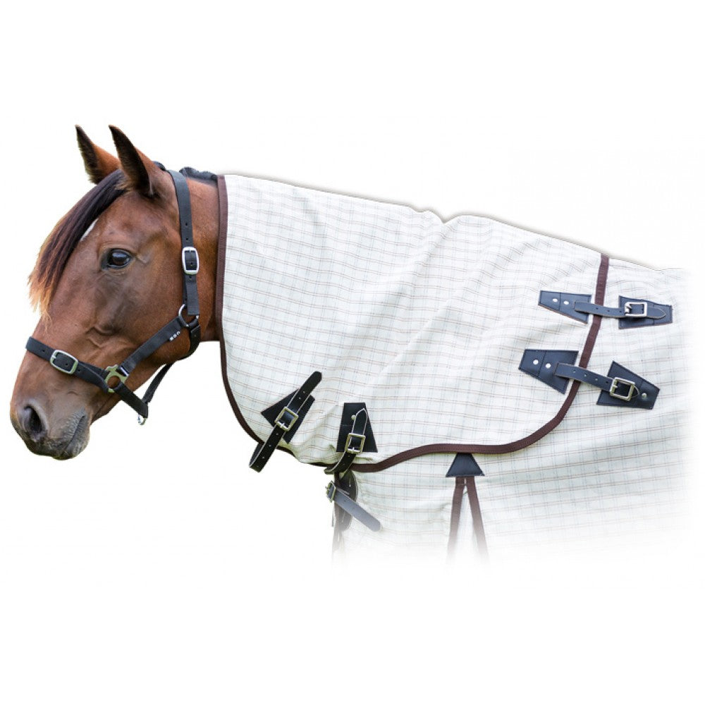 Kiwi Kooler Midi Neck Rug One / Large