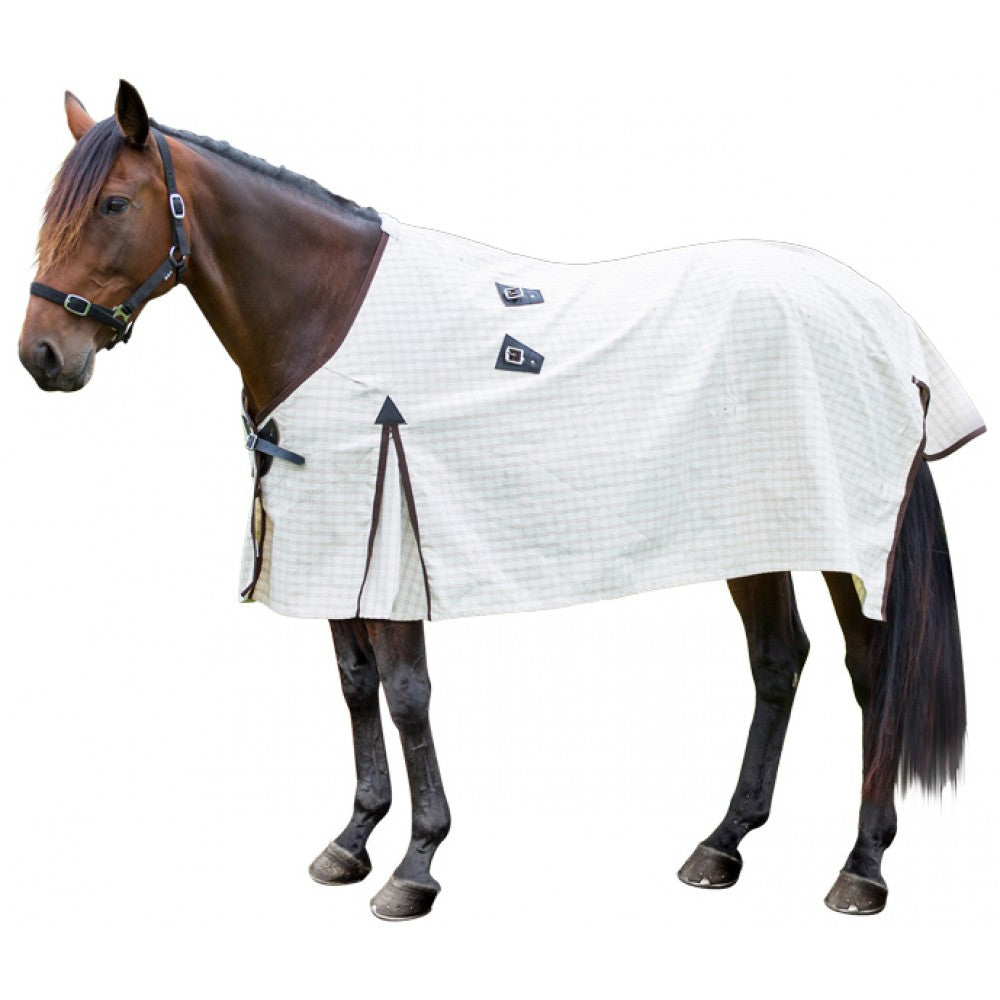 Kiwi Kooler Midi Rug Only One / 3.9