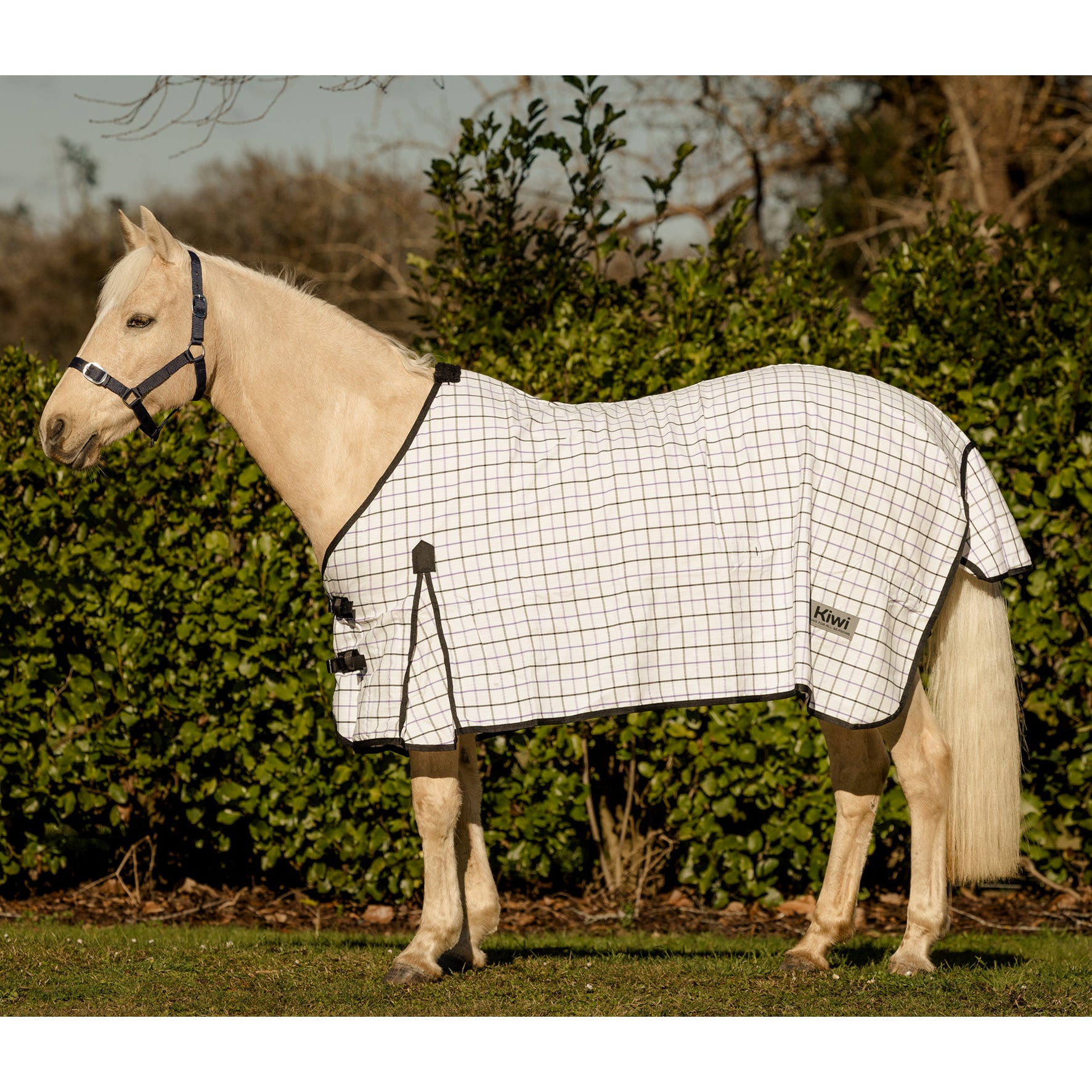 Kiwi Kooler Rug Only One / 3.3