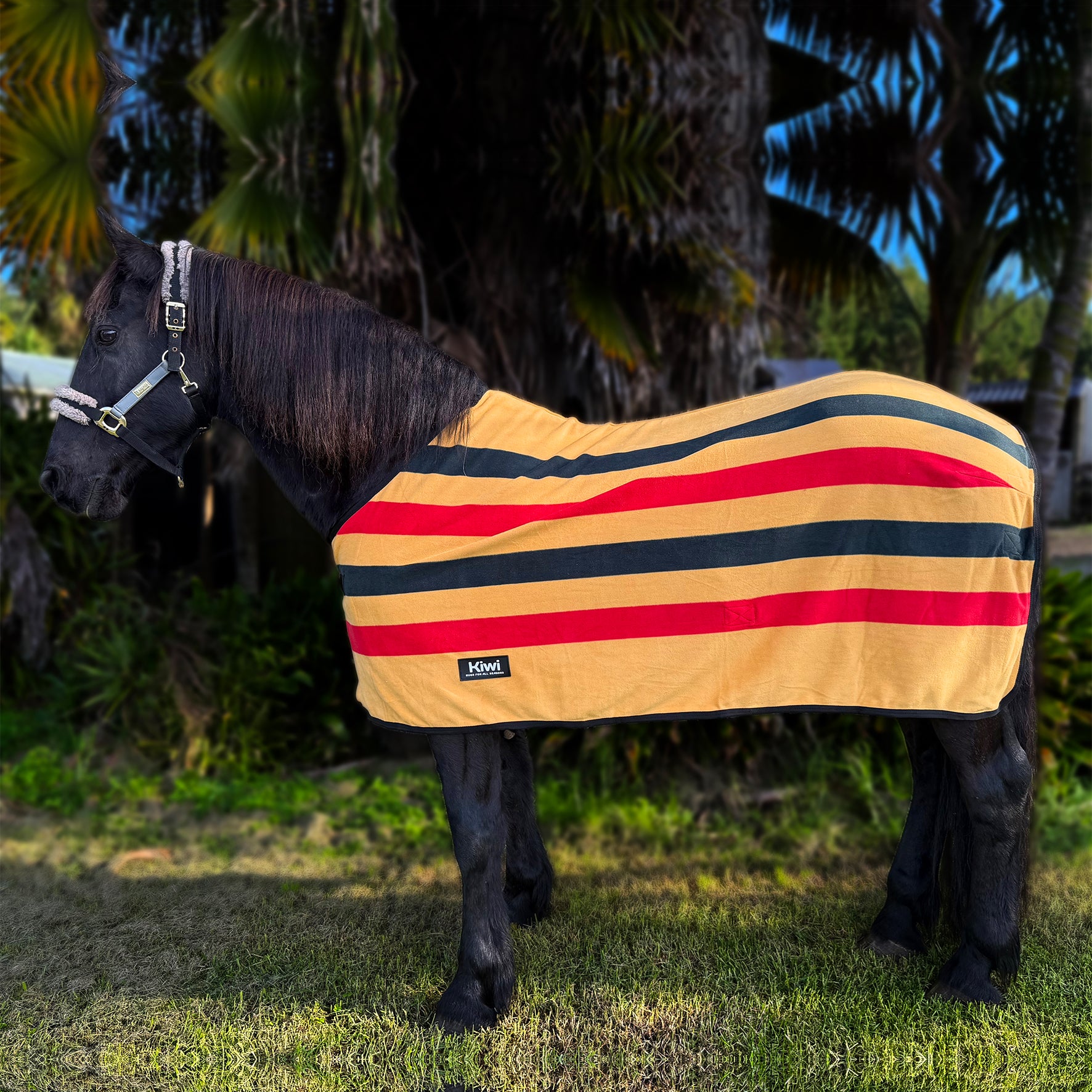 Kiwi Newmarket Fleece Rug One / 4.6