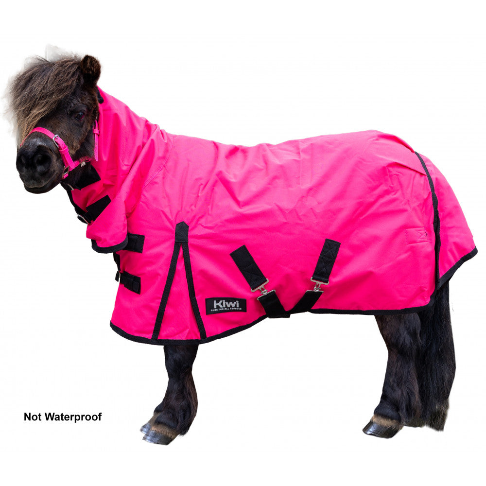 Kiwi Oxford Mini 100g Combo Pink / 27