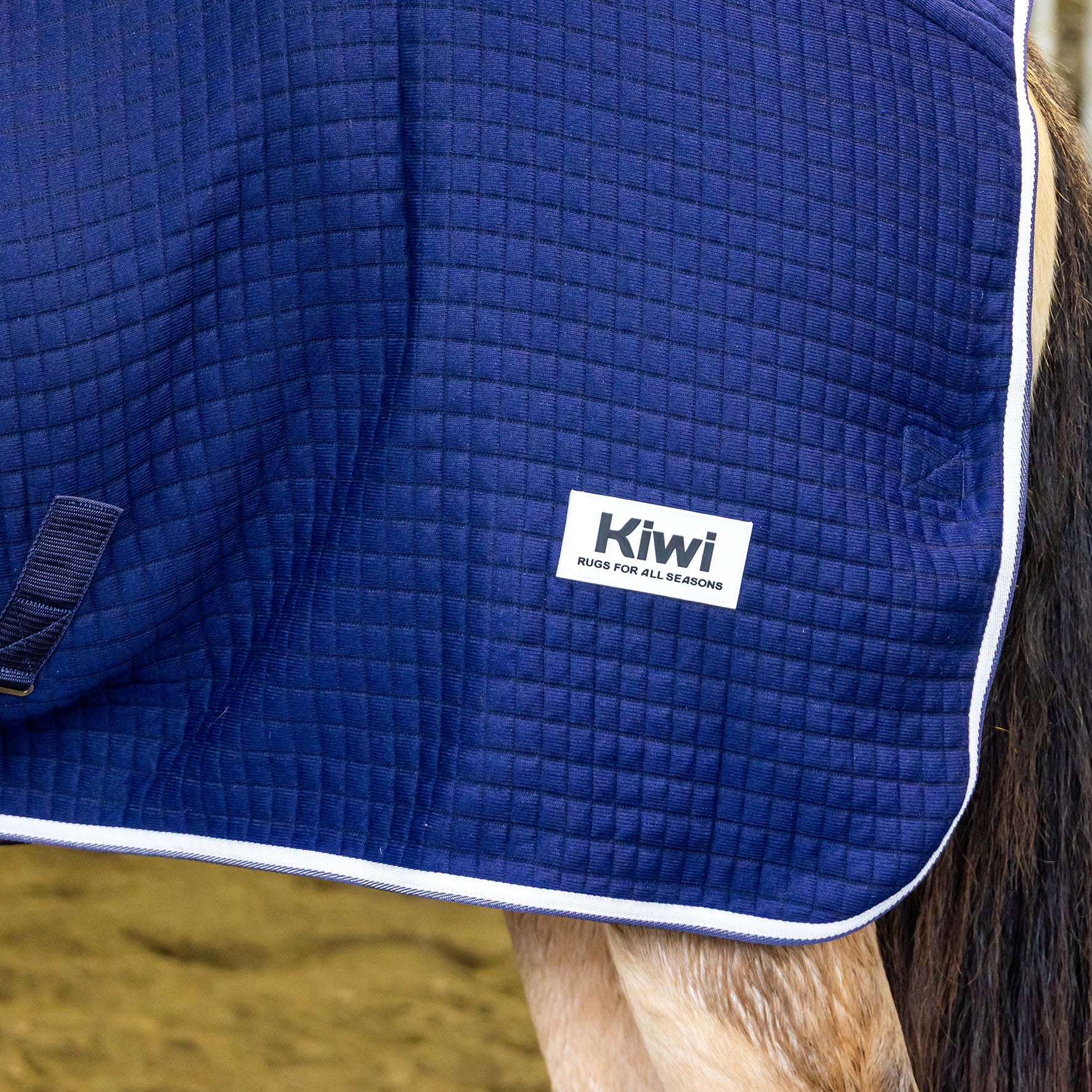 Kiwi Thermal Wicking Rug Navy / 4.6
