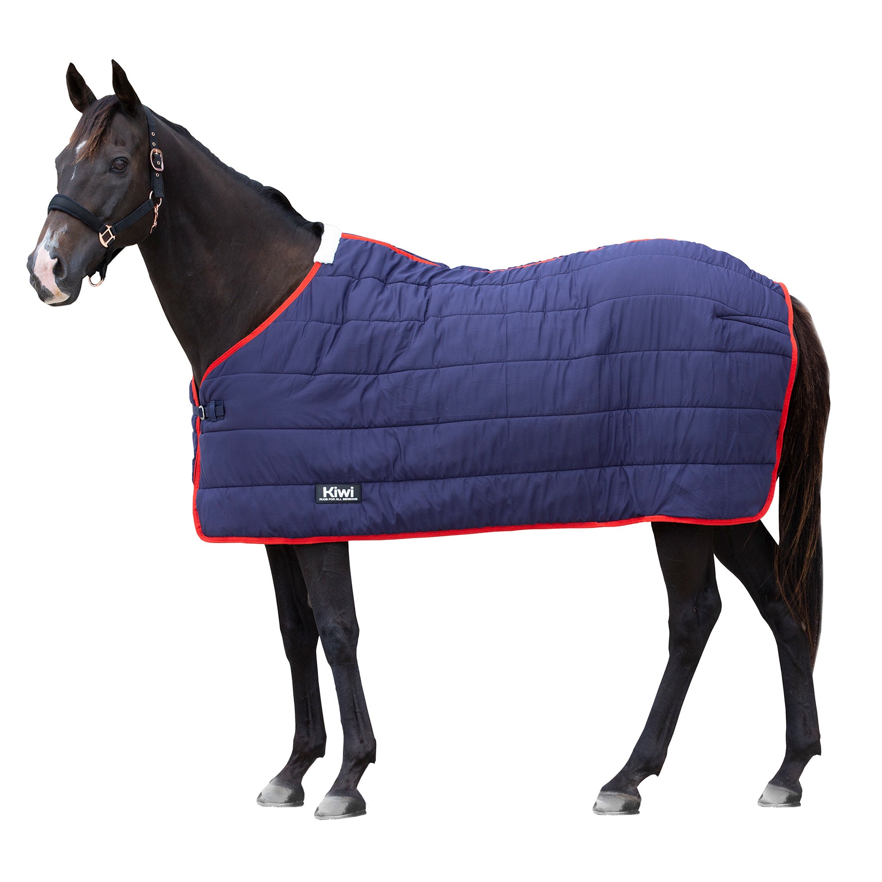 Kiwi Under Rug 200g One / 3.3