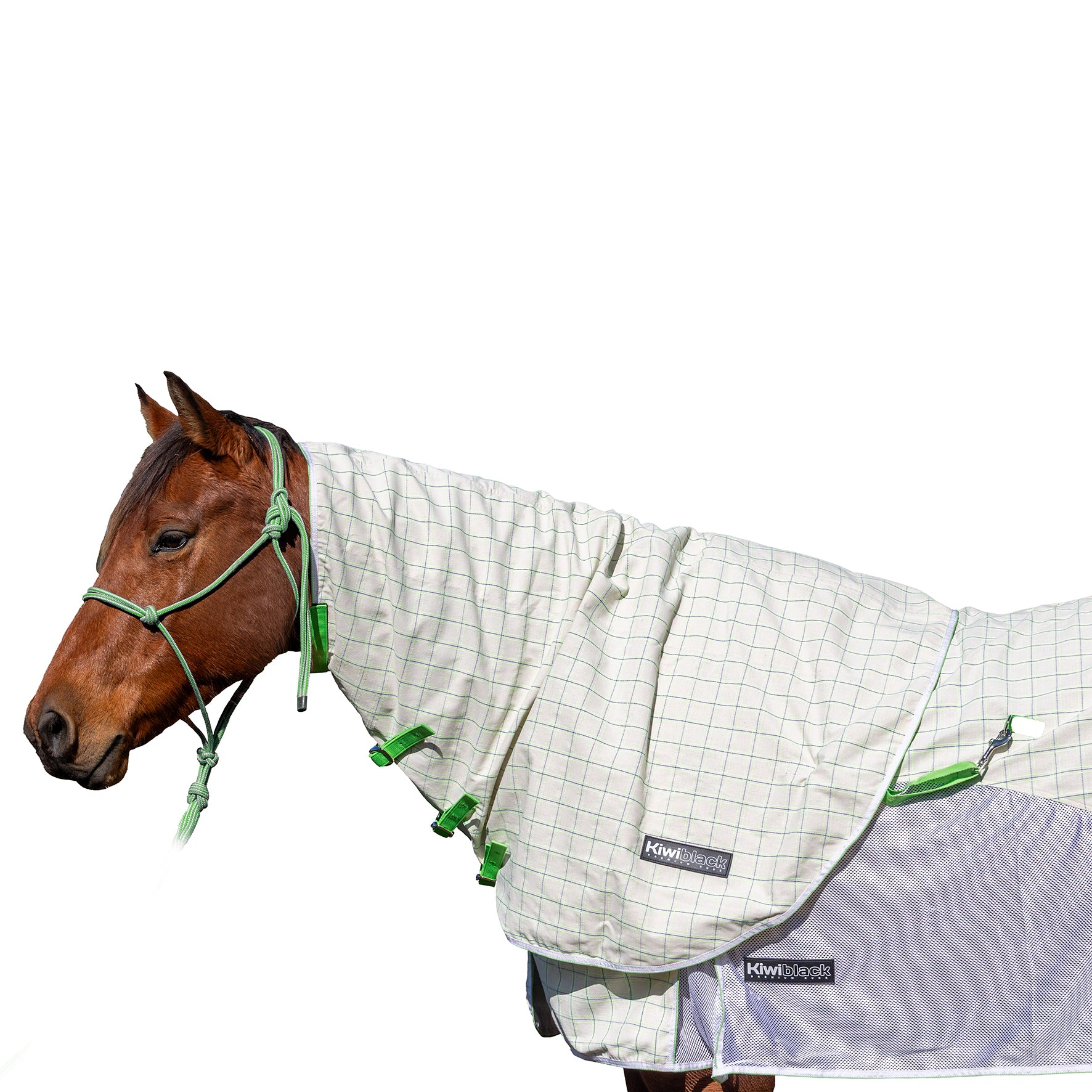 Kiwiblack Crossover Neck Rug One / Large