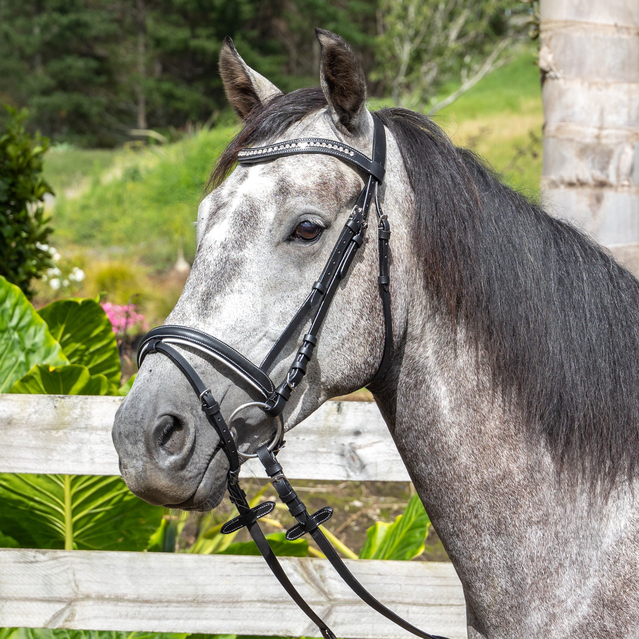 Lindau Crystal Bridle Black / Cob