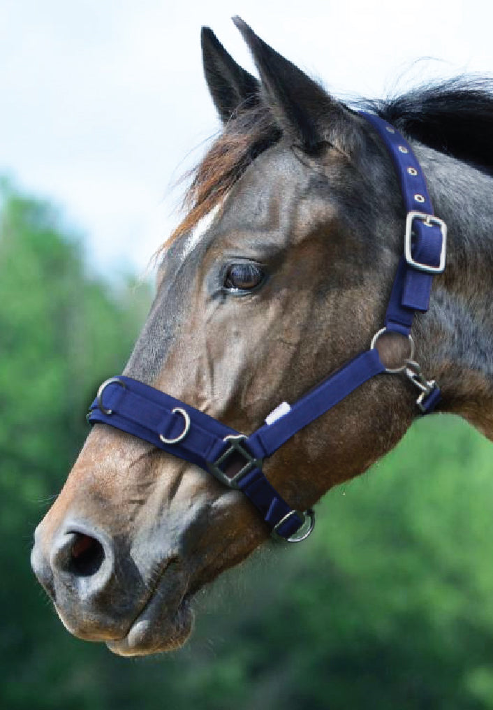 Prima Lunge Cavesson Navy / Full