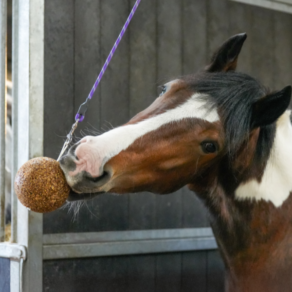 Likit GranoLo Stall Ball One / Apple 1.5kg