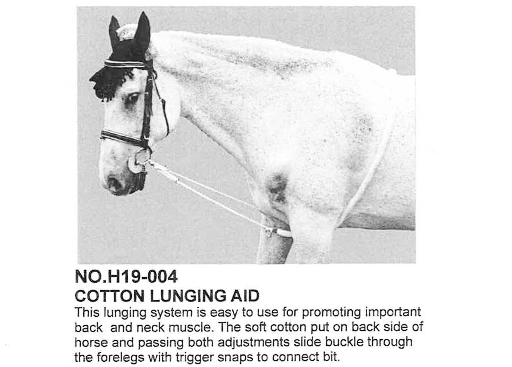 Enzo Cotton Lunging Aid Blue / Full