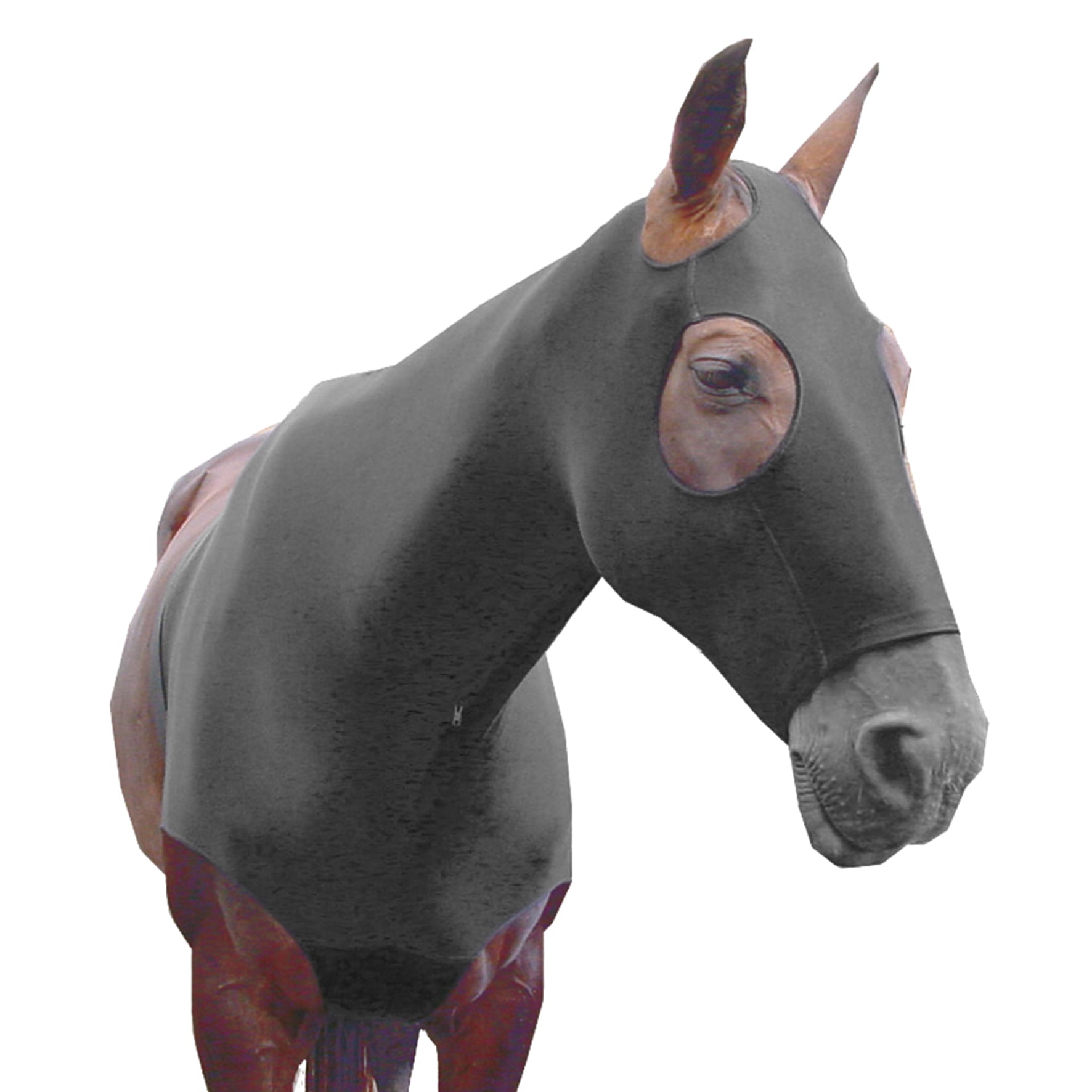 Lycra Hood with Vest One / Cob