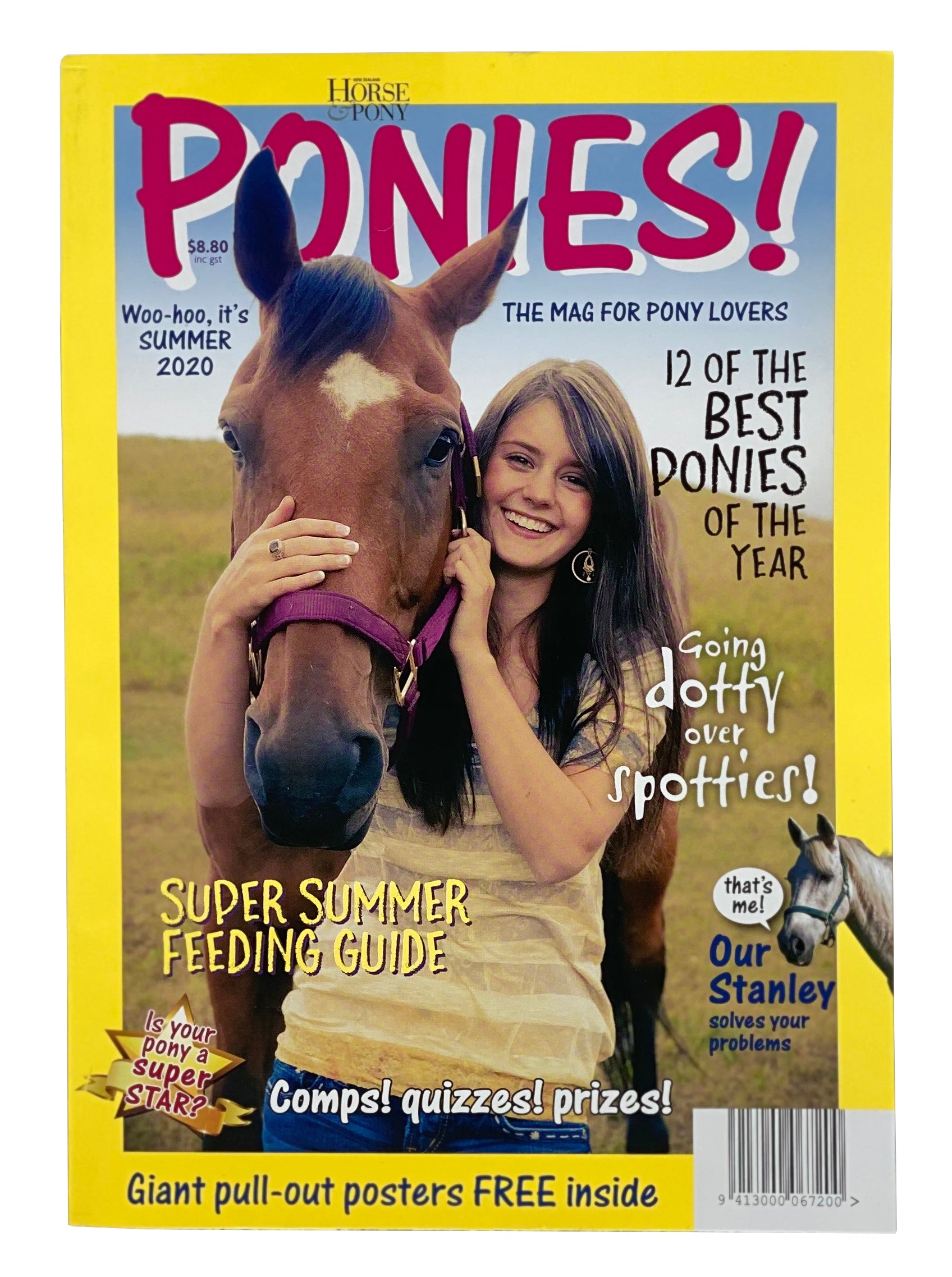 Horse and Pony Ponies