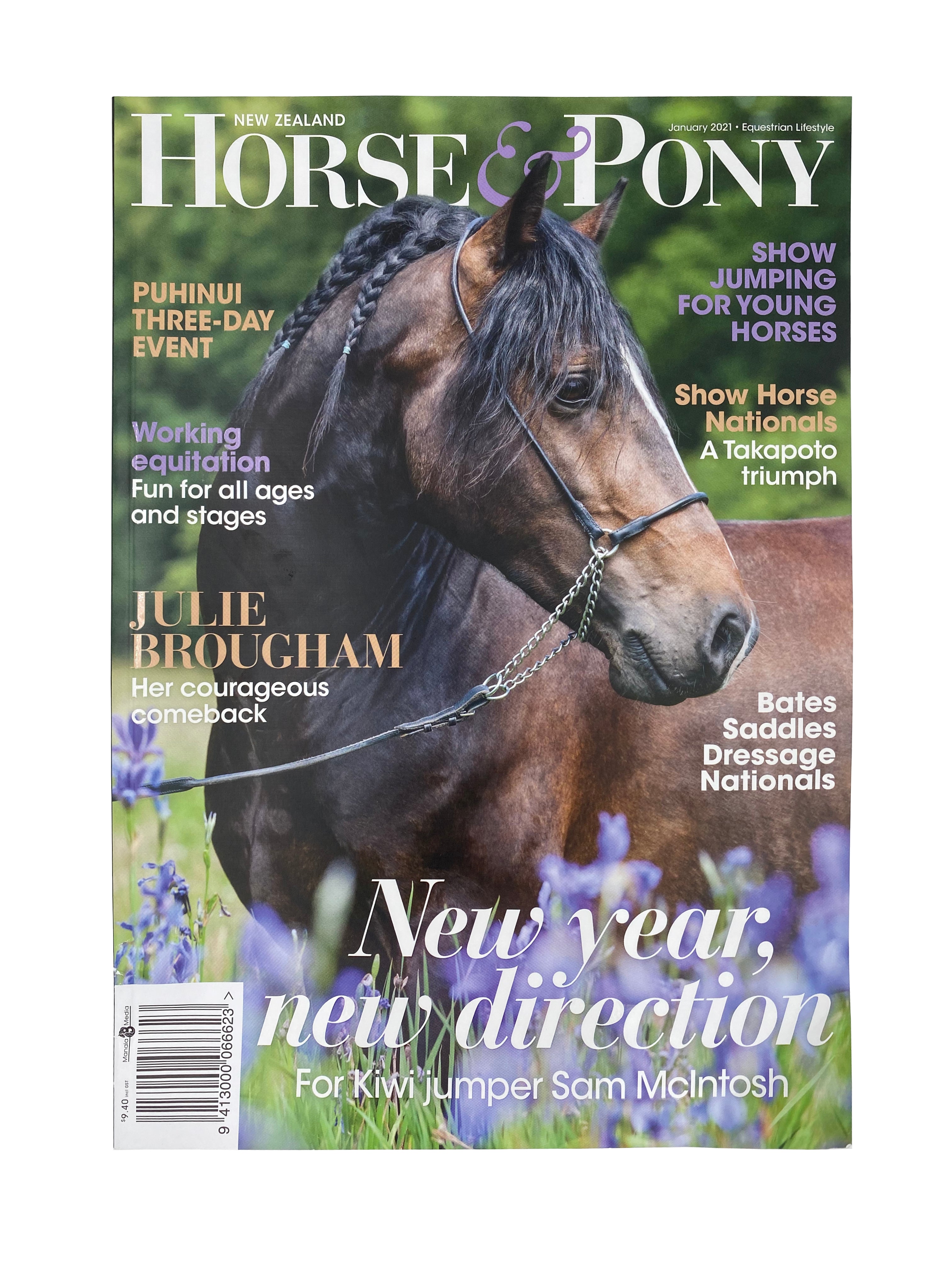 Horse and Pony