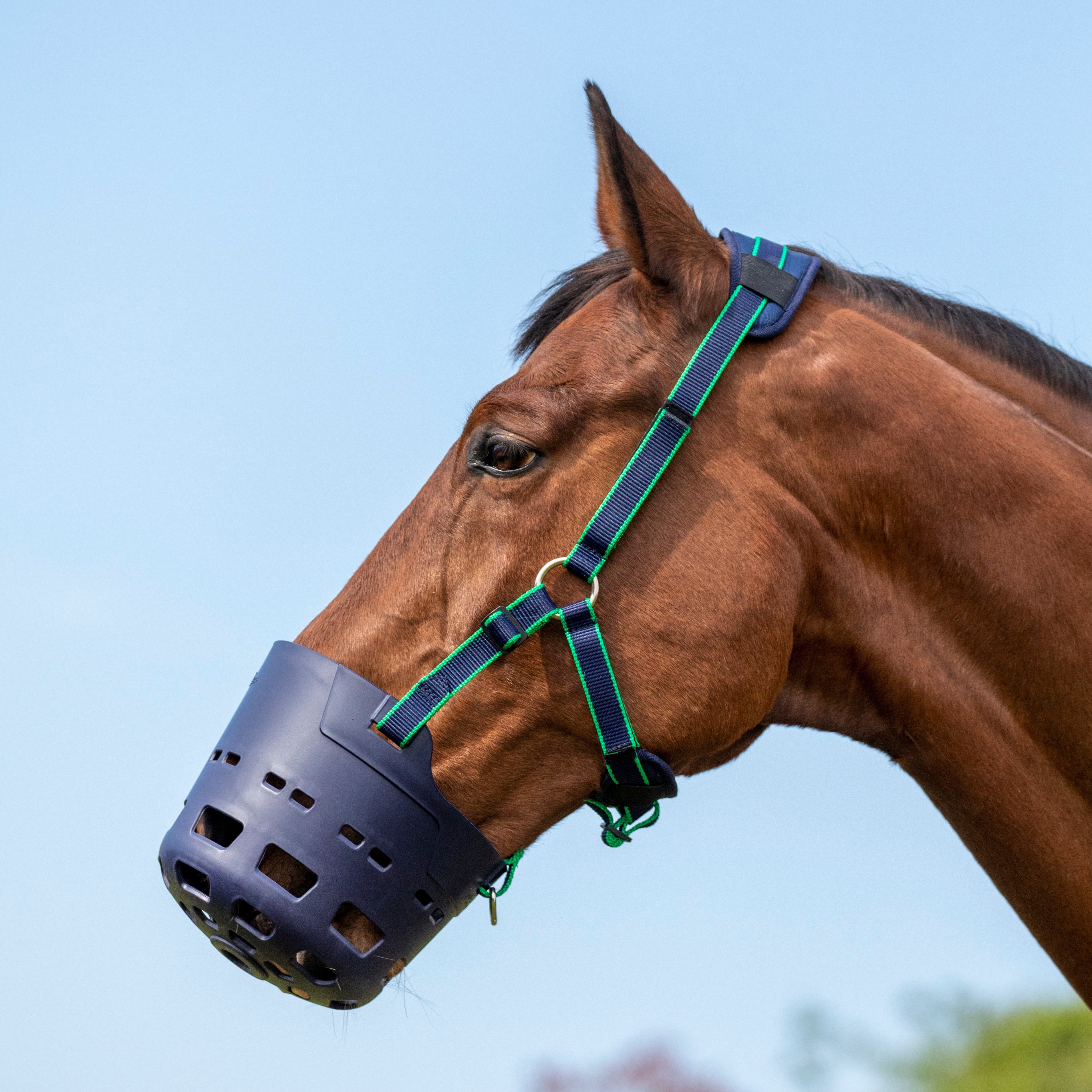 Shires Flexi Grazer Muzzle One / Full