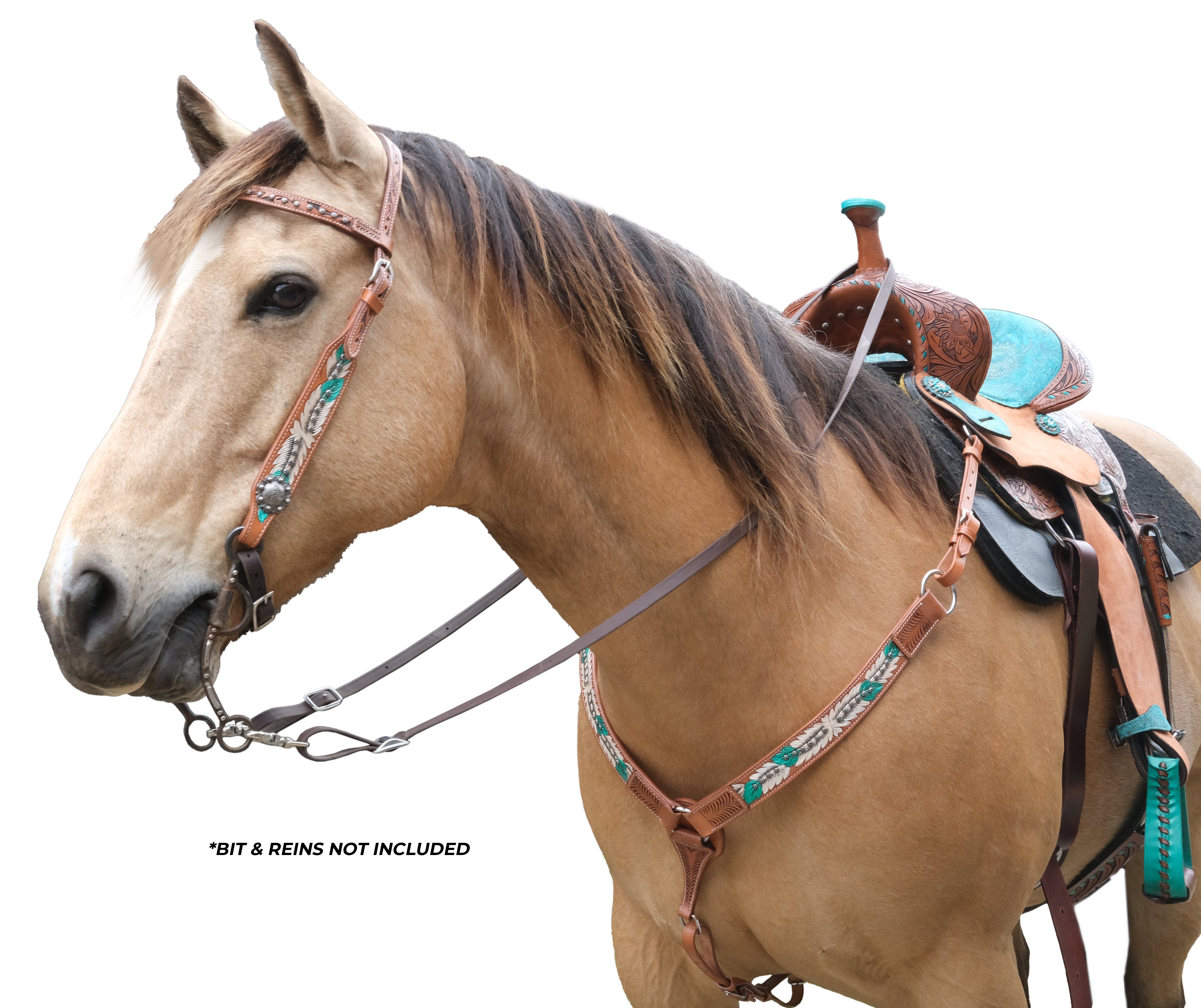 Origin Bridle & Bplate Set-Feathers