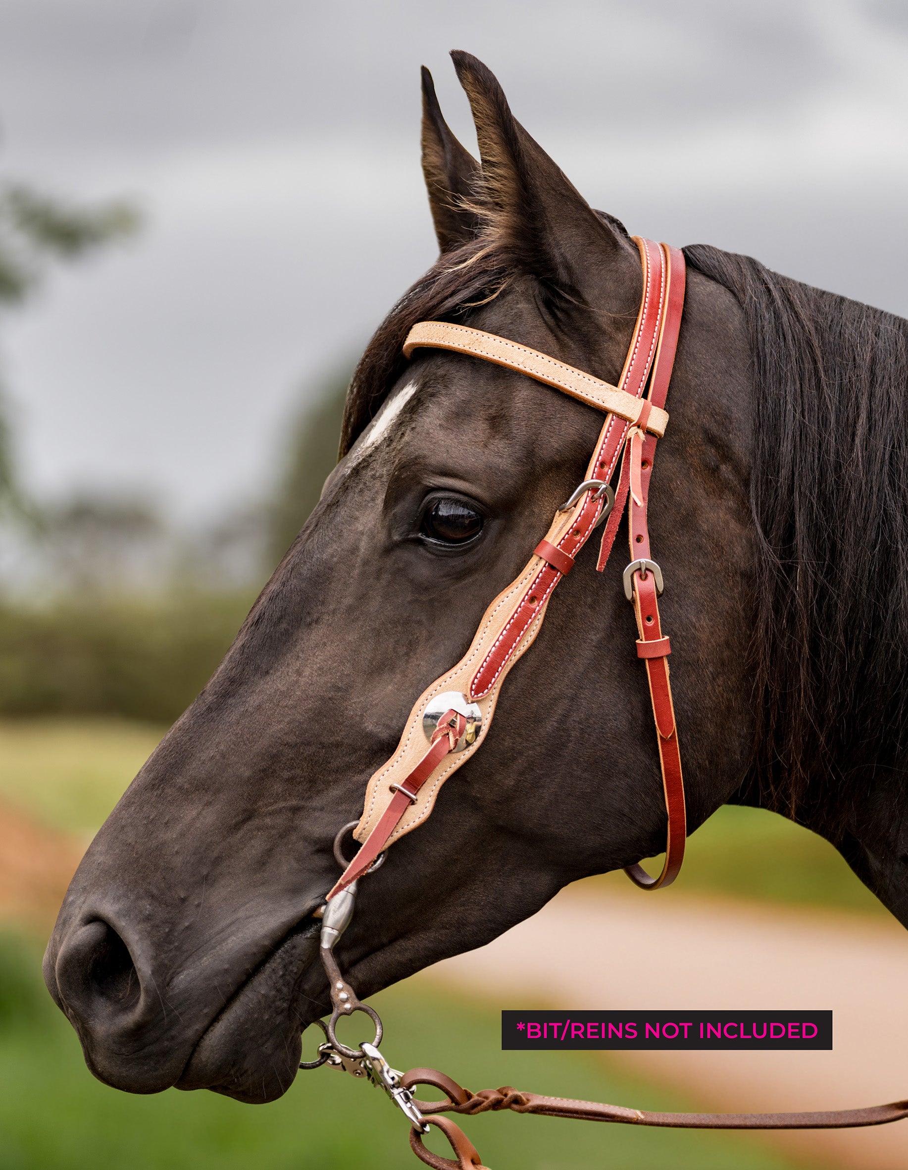 Origin Headstall Plain SS Buckle