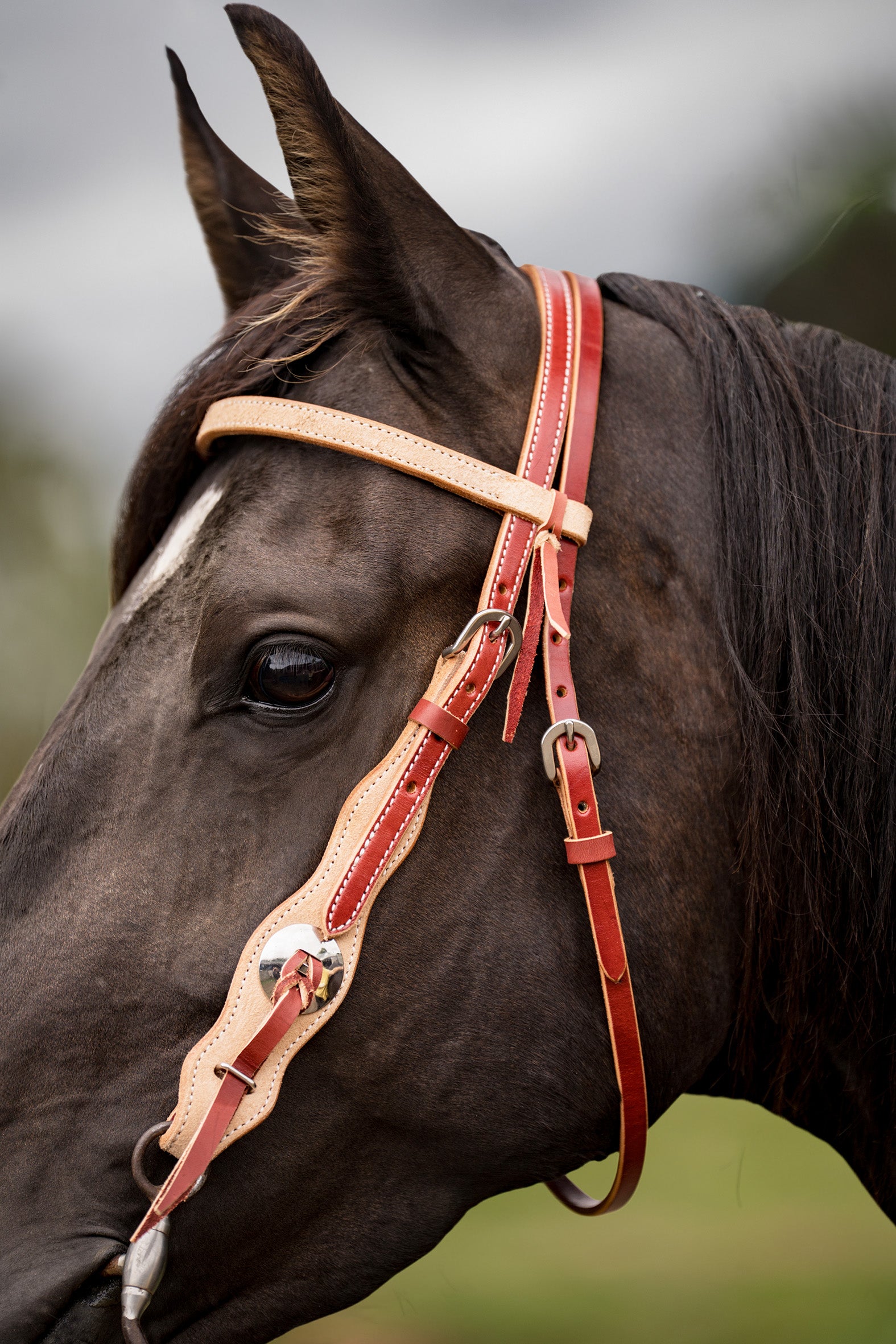 Origin Headstall Plain SS Buckle