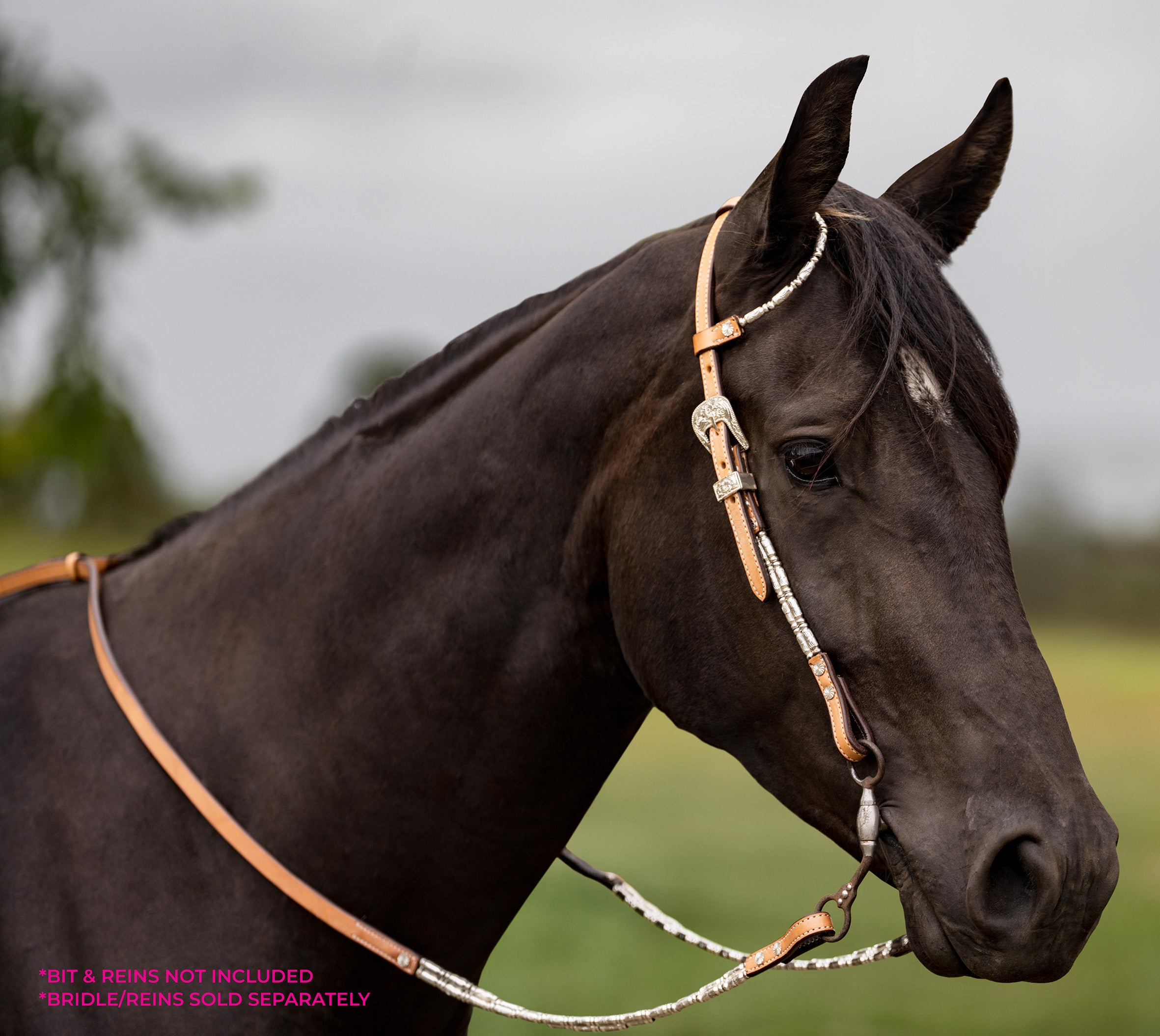 Origin One Ear Headstall wSilver Piping