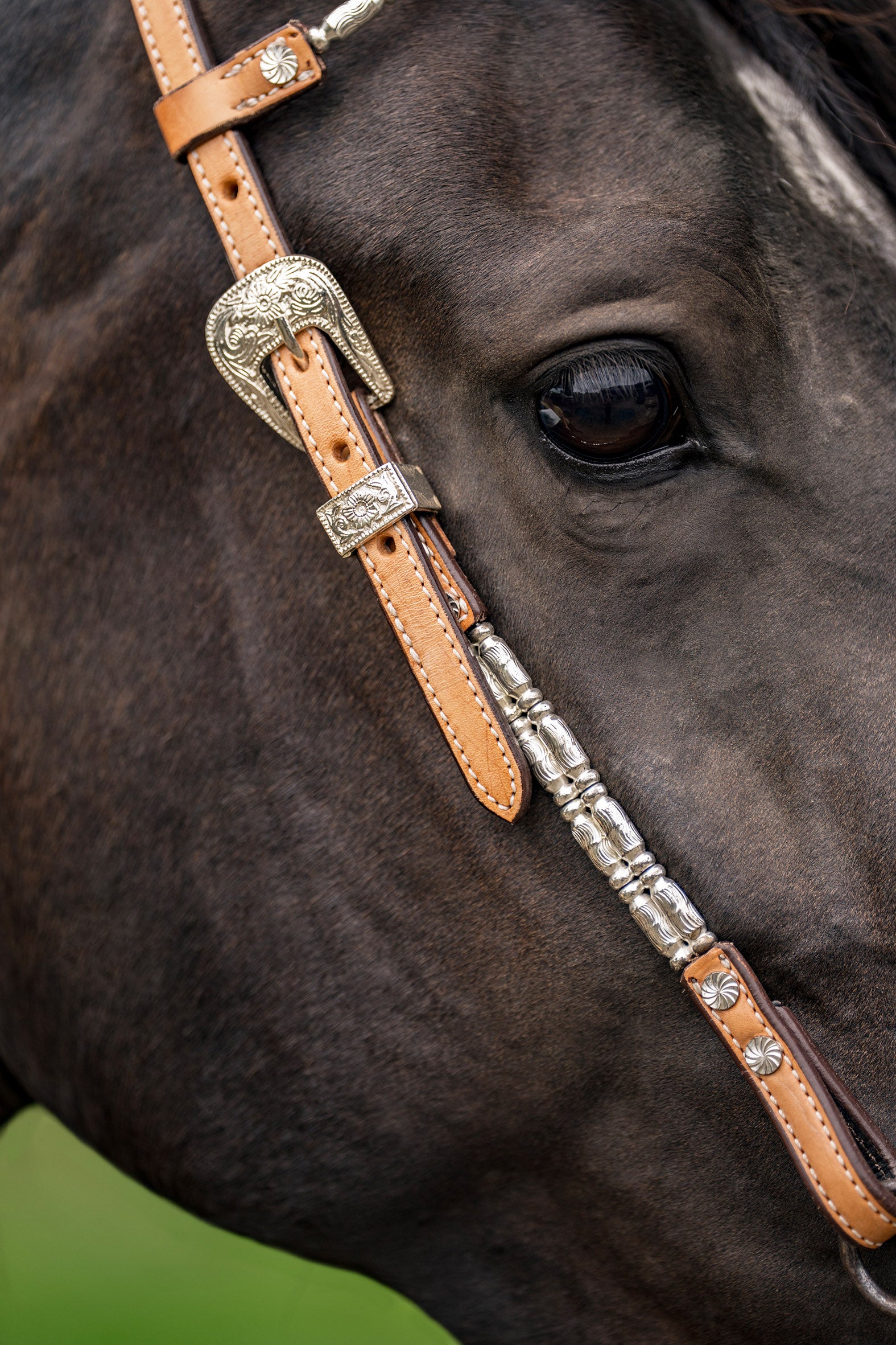 Origin One Ear Headstall wSilver Piping